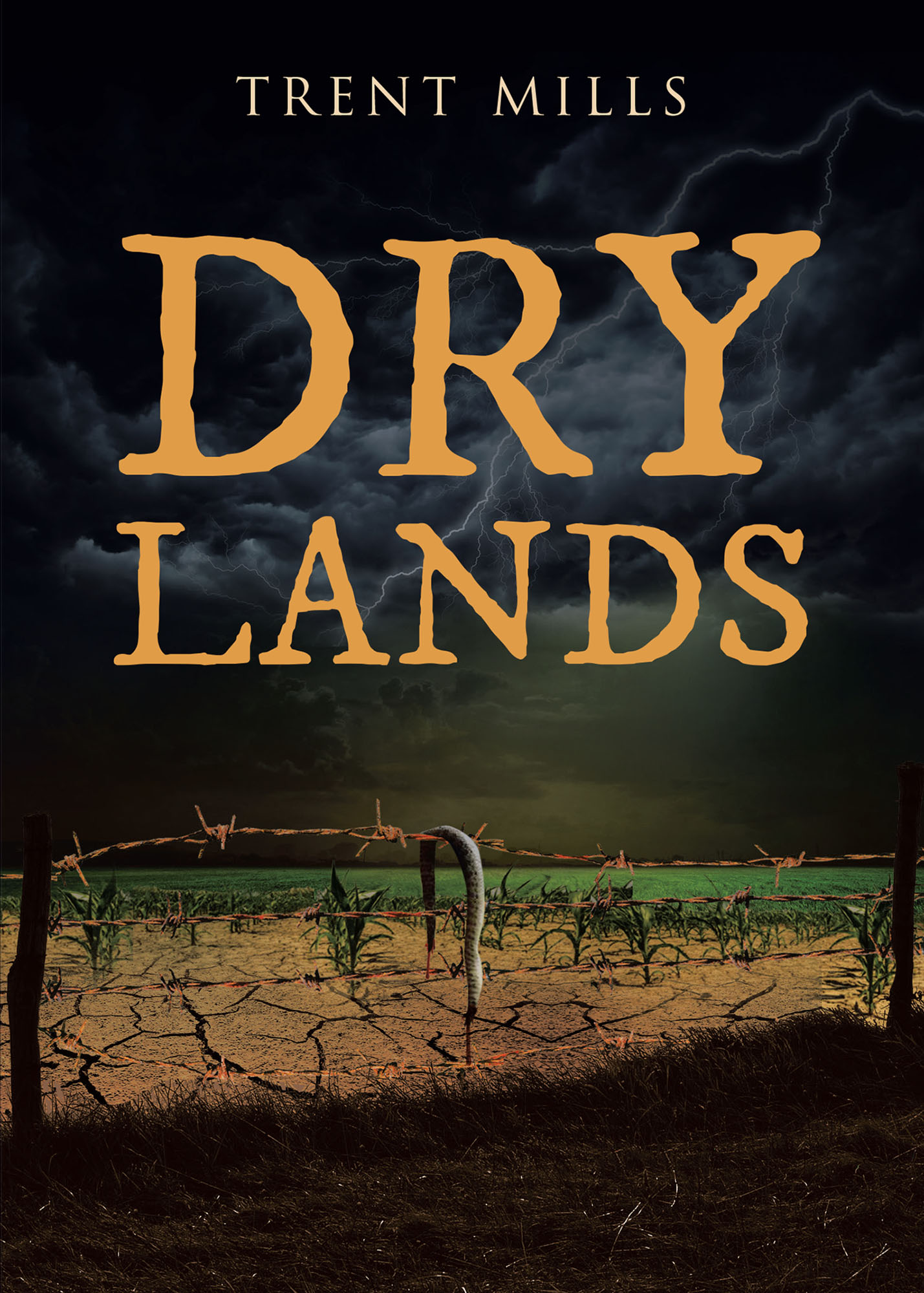 Dry Lands Cover Image