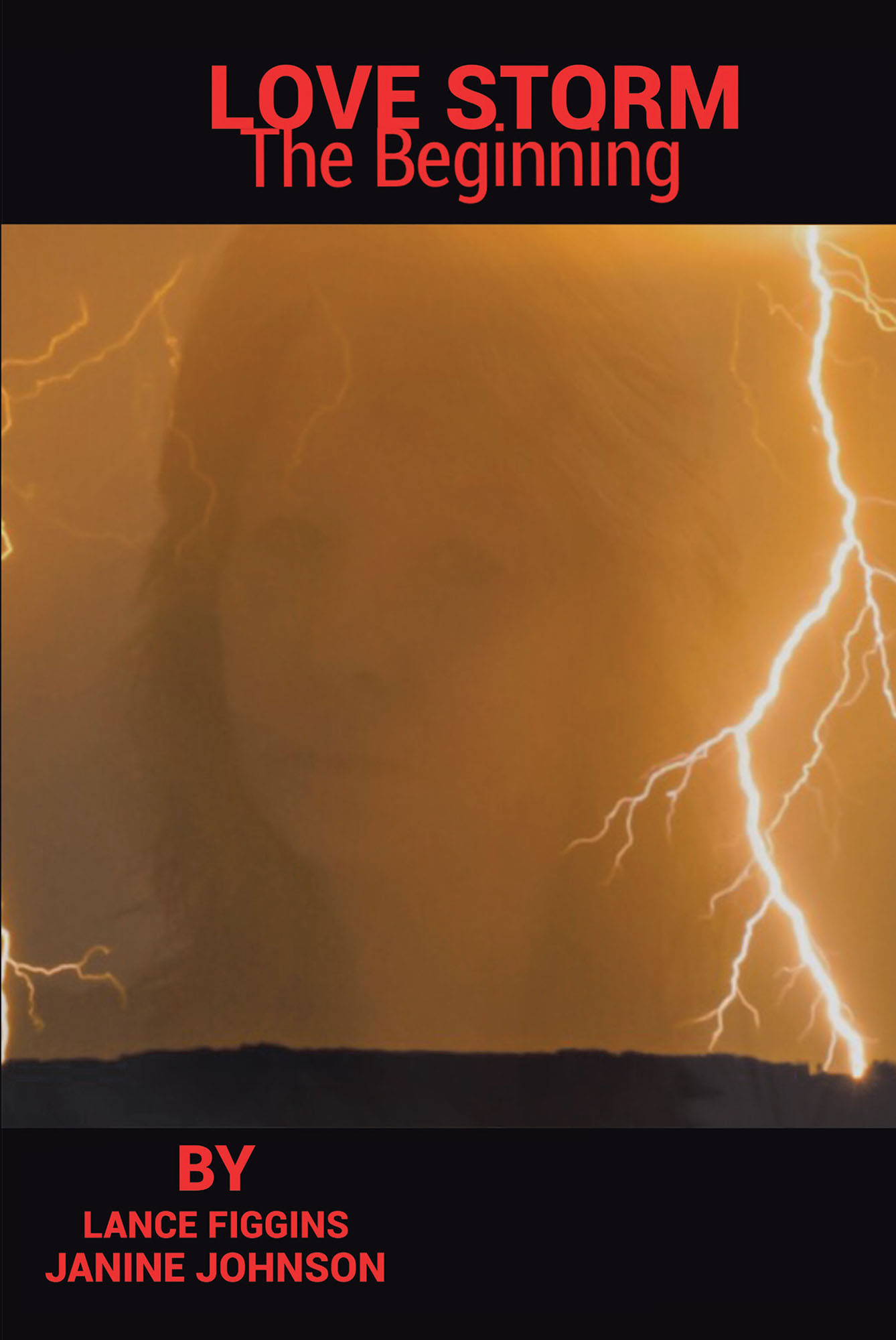 Love Storm Cover Image