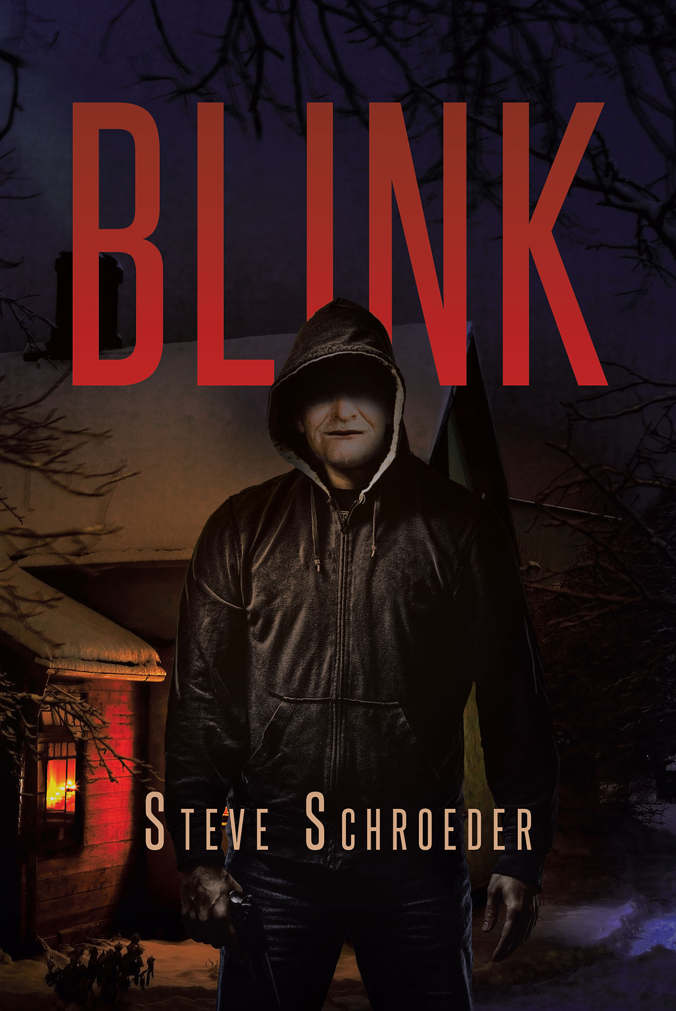 Blink  Cover Image