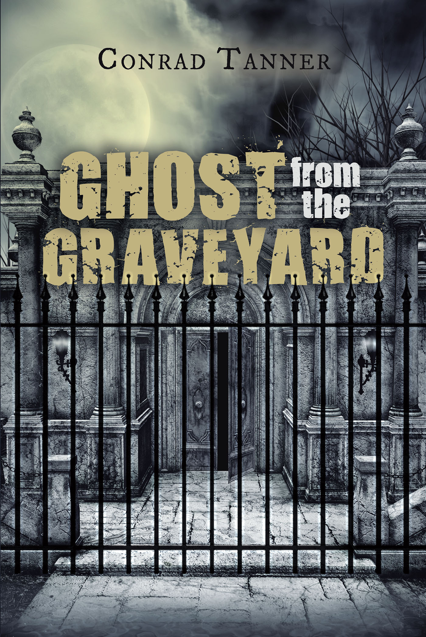 Ghost from the Graveyard Cover Image