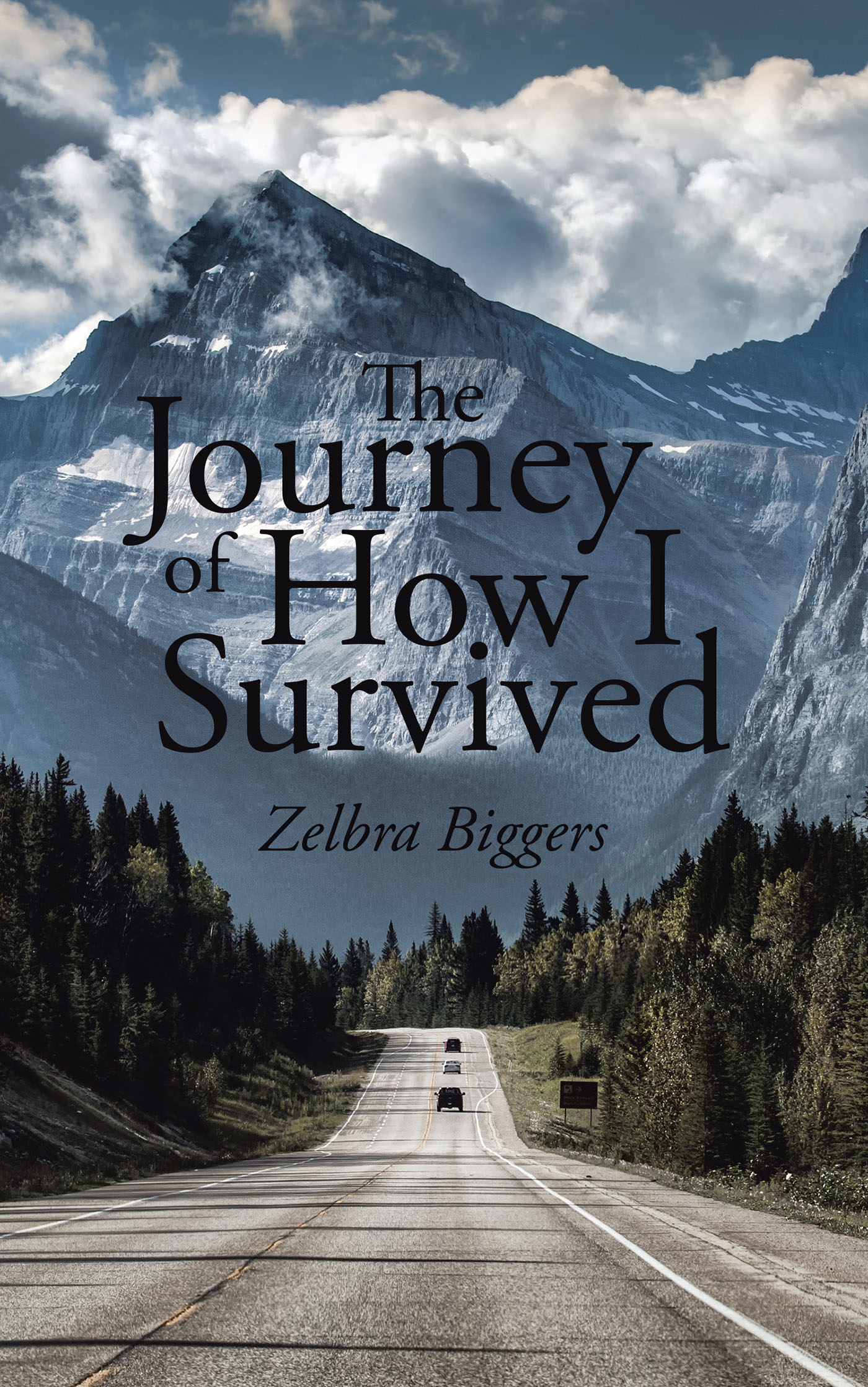 The Journey of How I Survived Cover Image