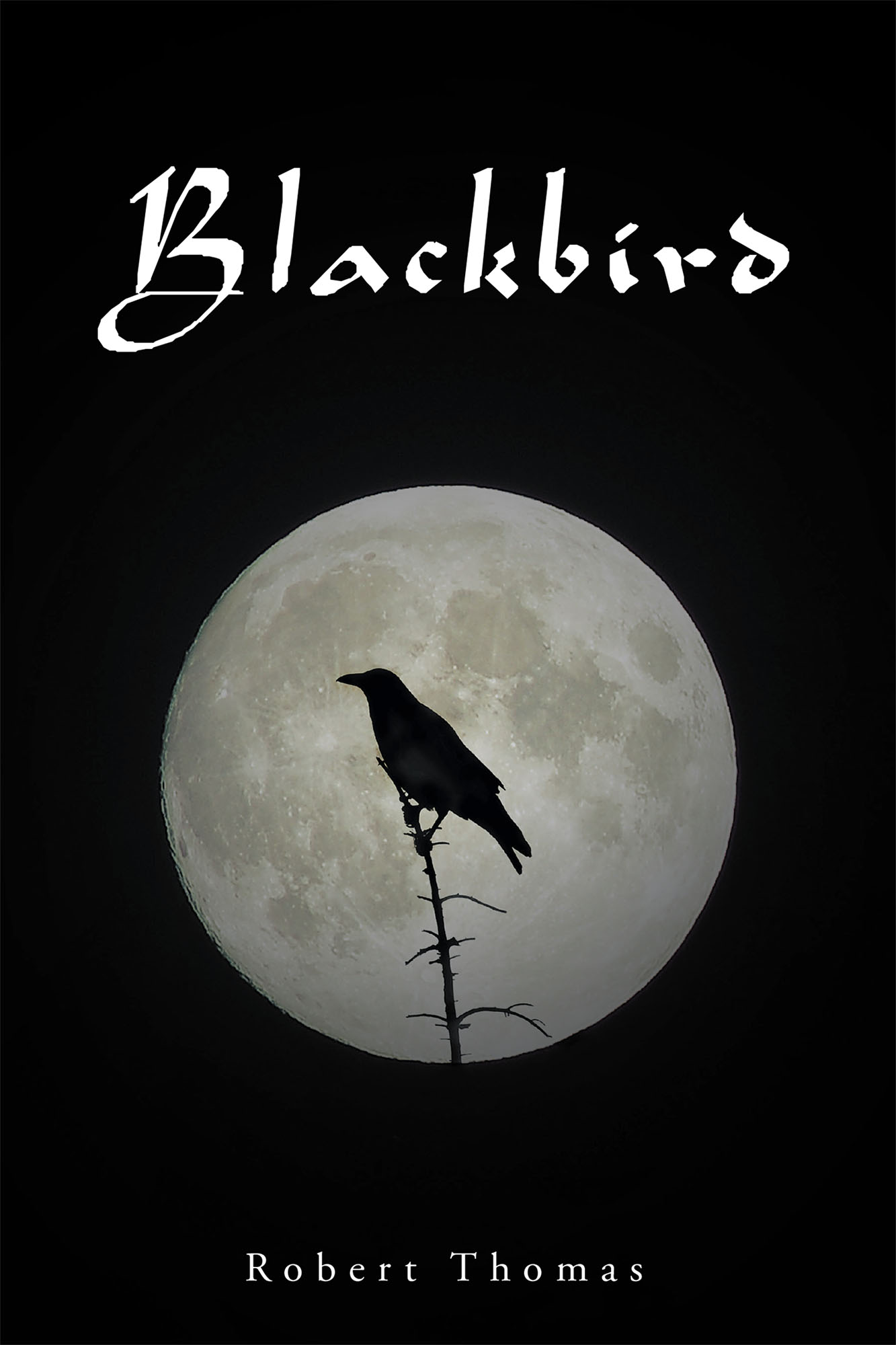 Blackbird Cover Image