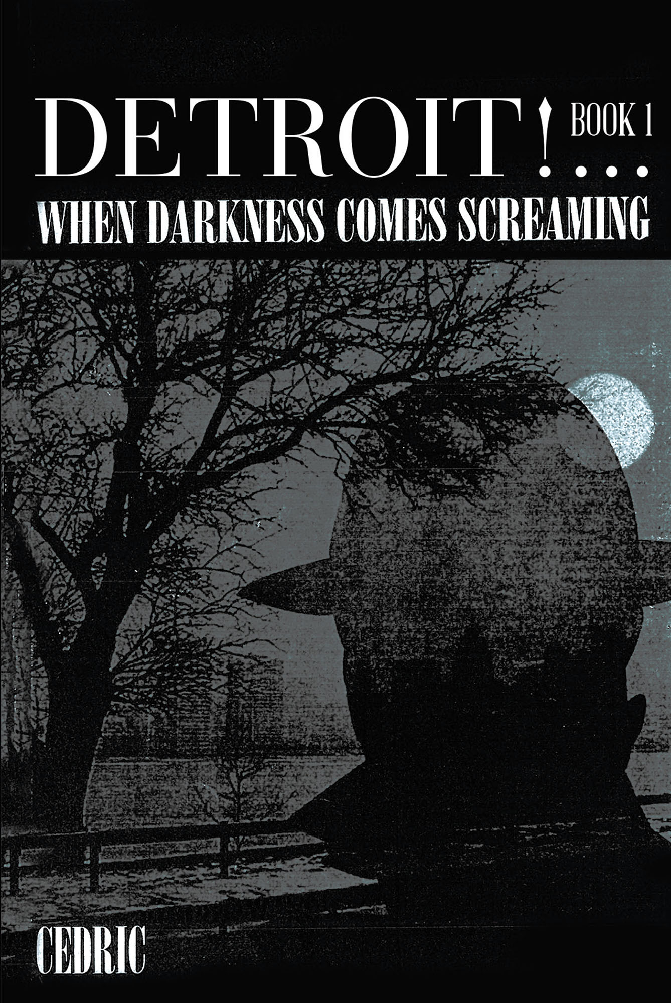 Detroit! ...When Darkness Comes Screaming Cover Image