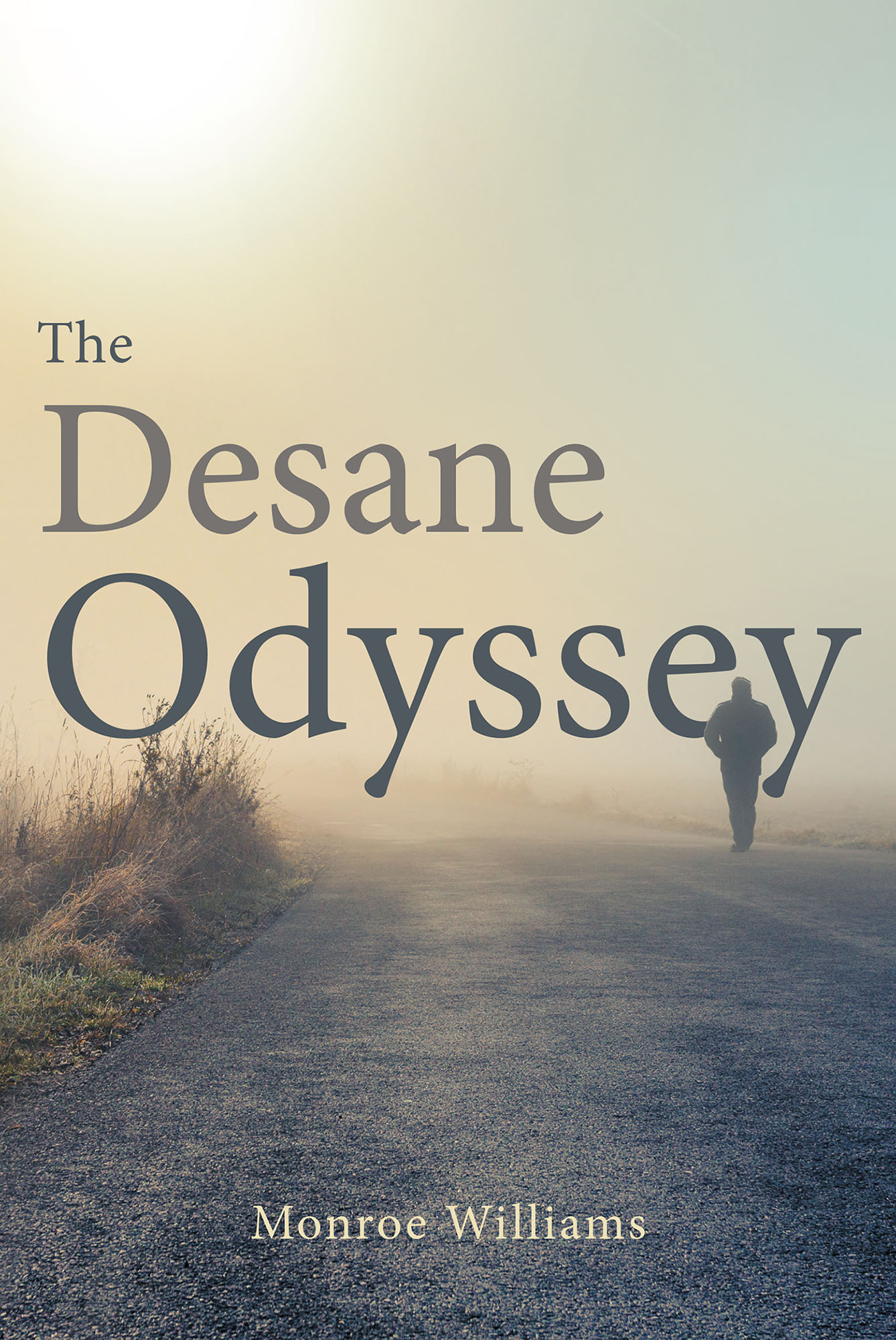 The Desane Odyssey Cover Image