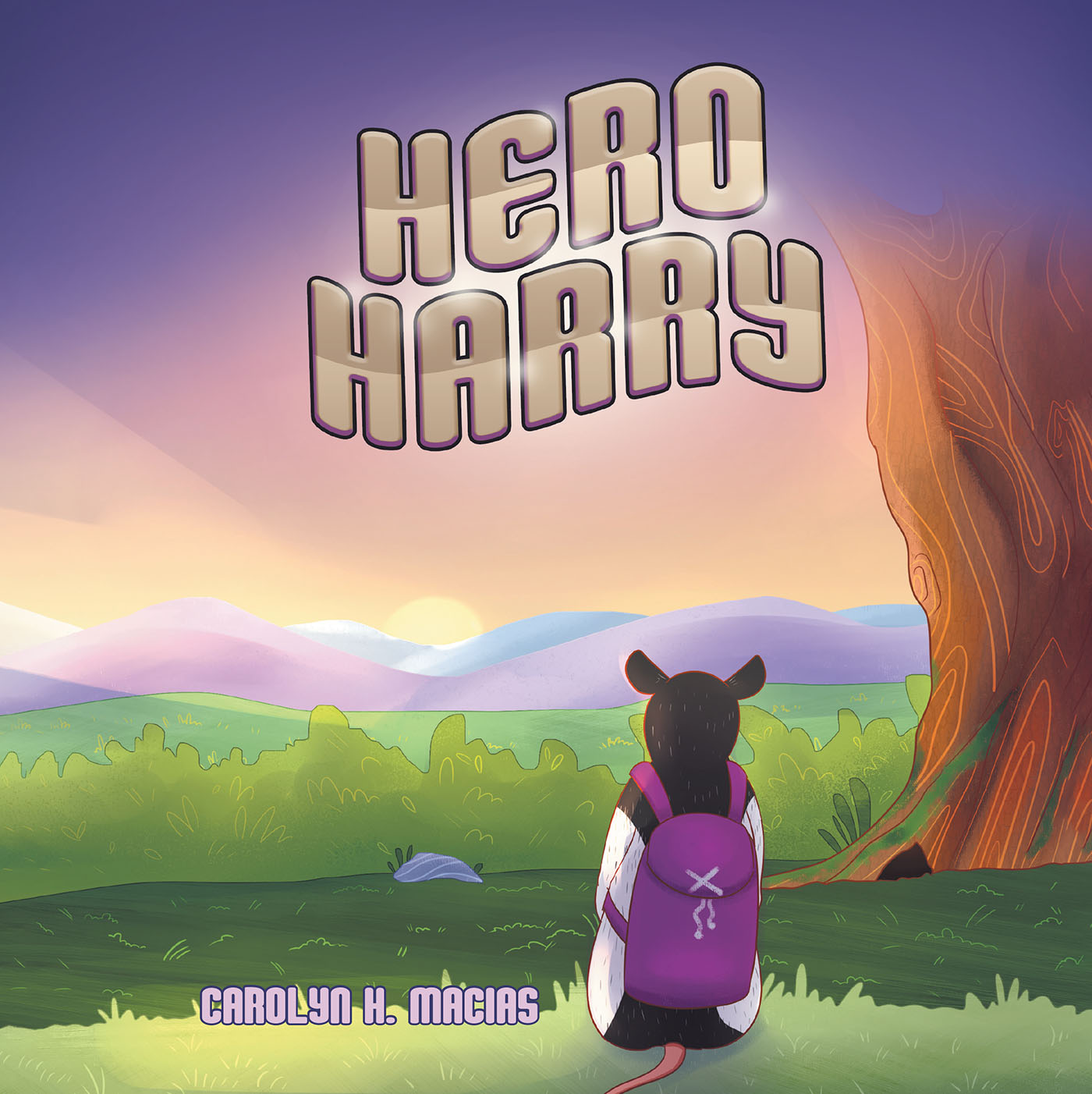 Hero Harry Cover Image