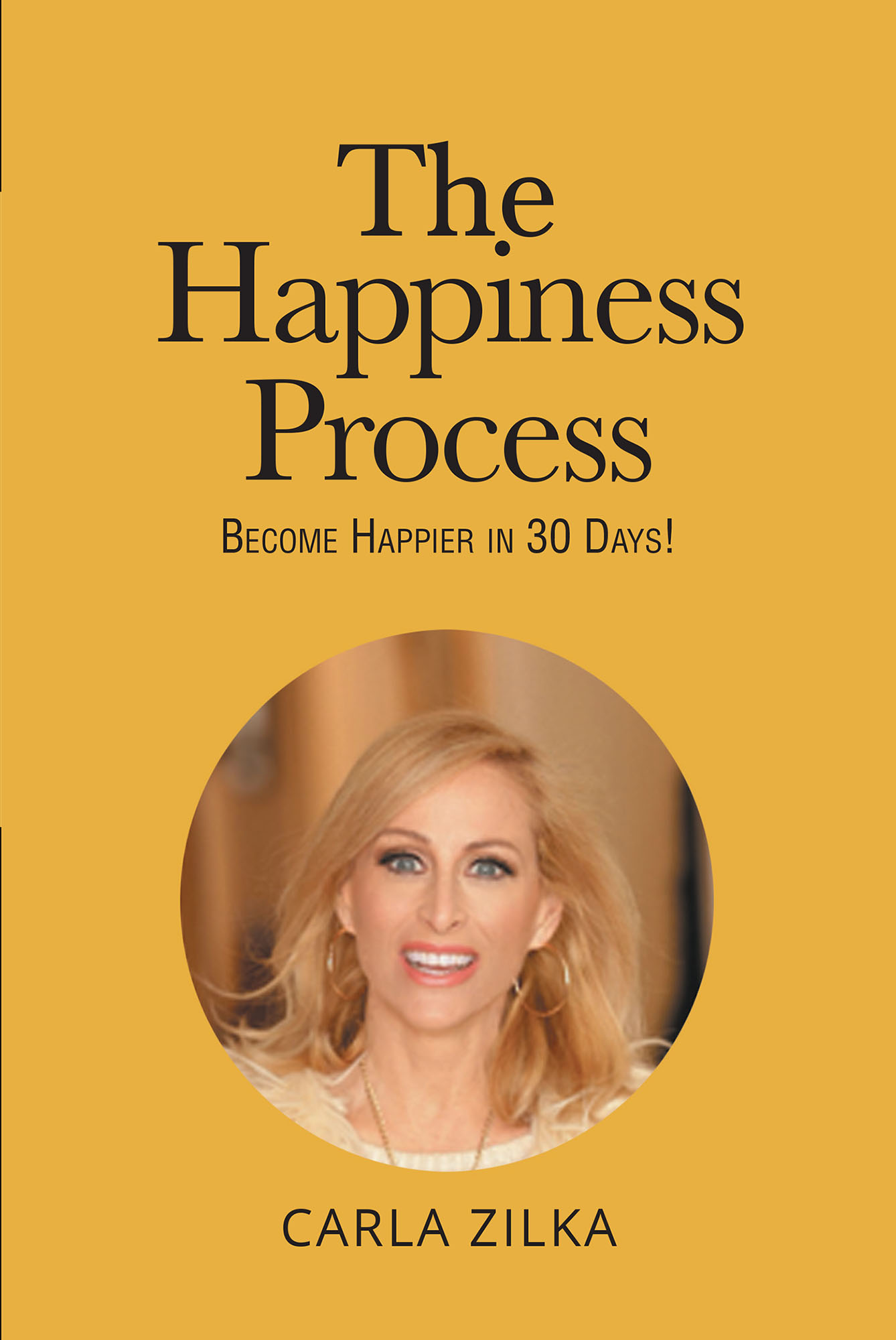 The Happiness Process Cover Image