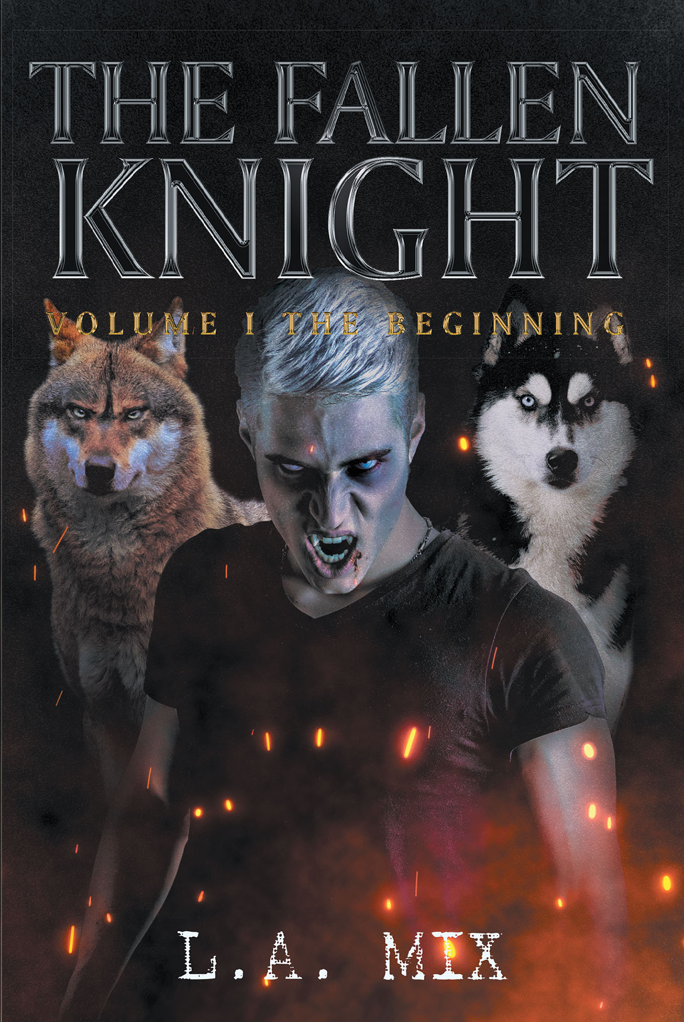 The Fallen Knight Volume I The Beginning Cover Image