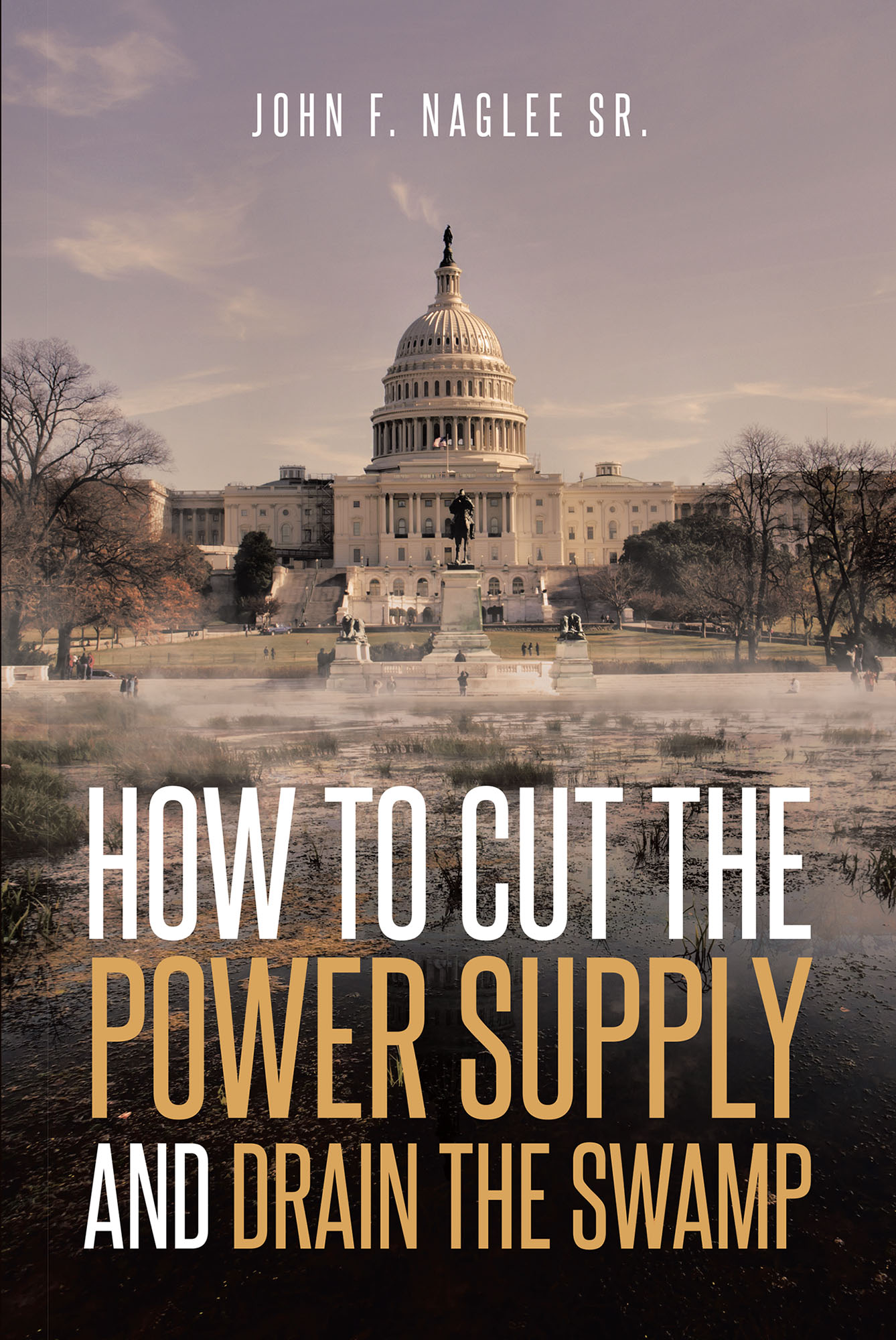 How to Cut the Power Supply And Drain the Swamp Cover Image