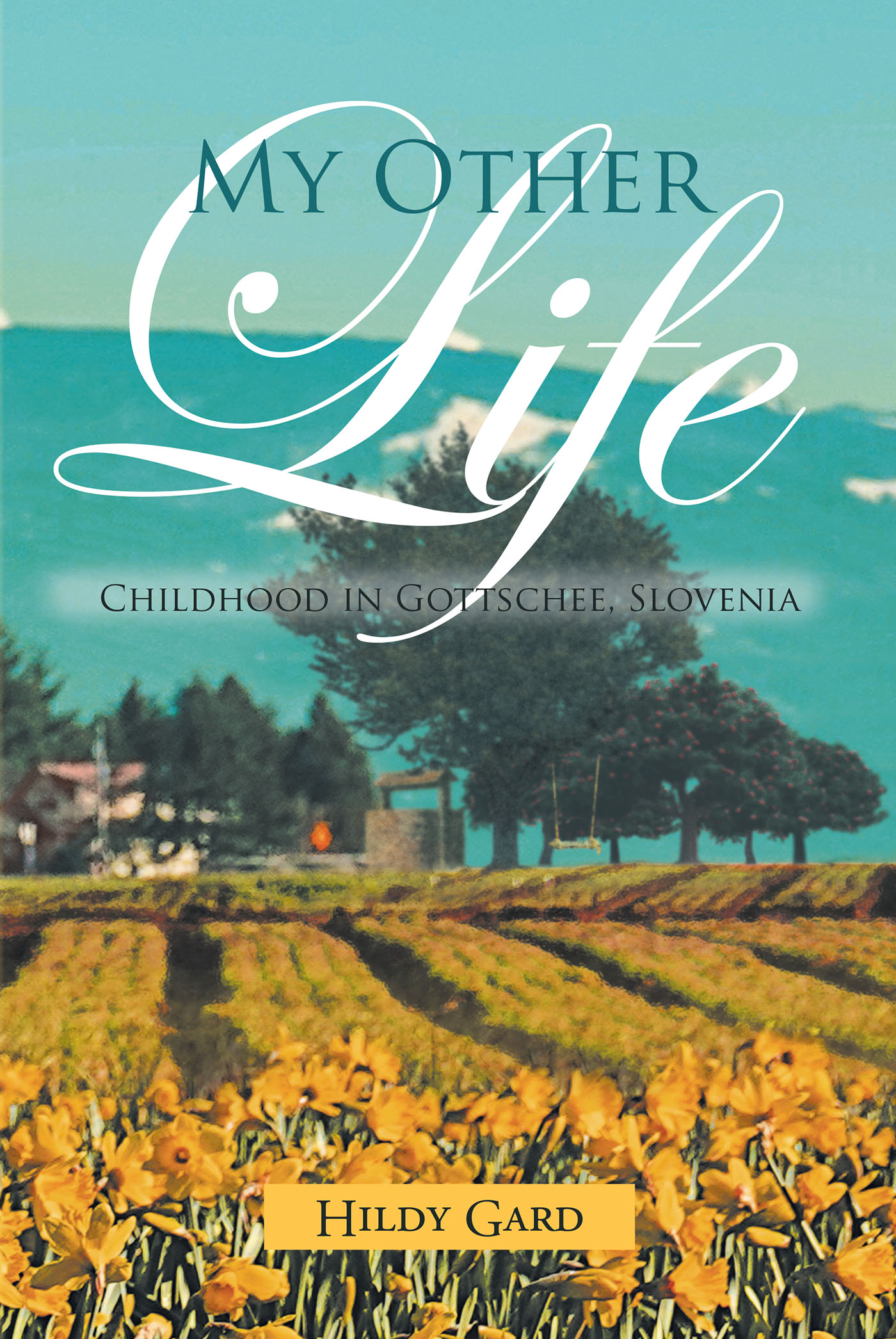 My Other Life Cover Image