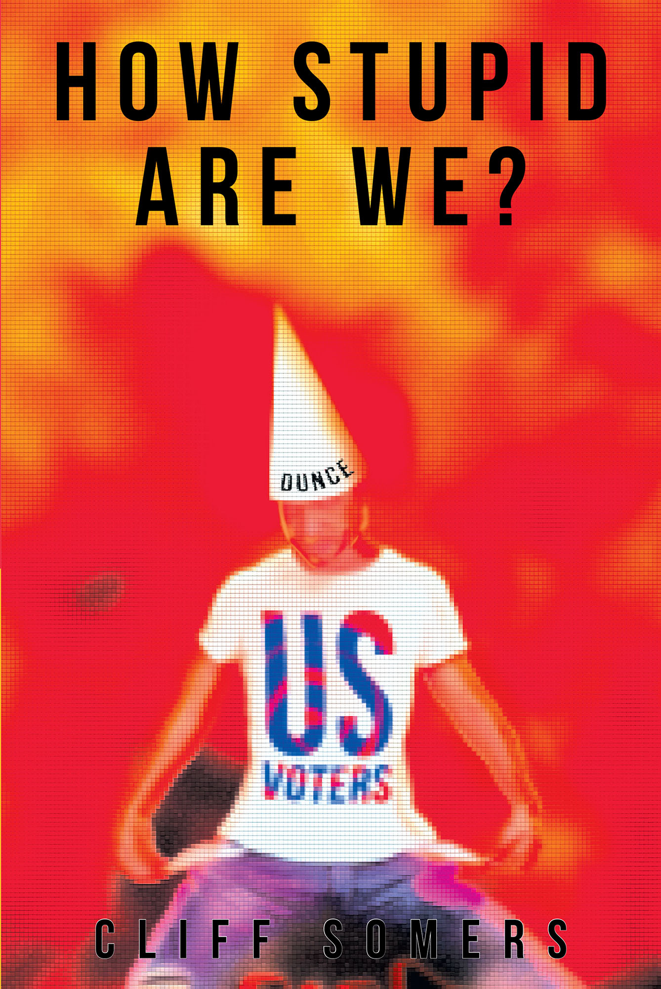 How Stupid Are We? Cover Image