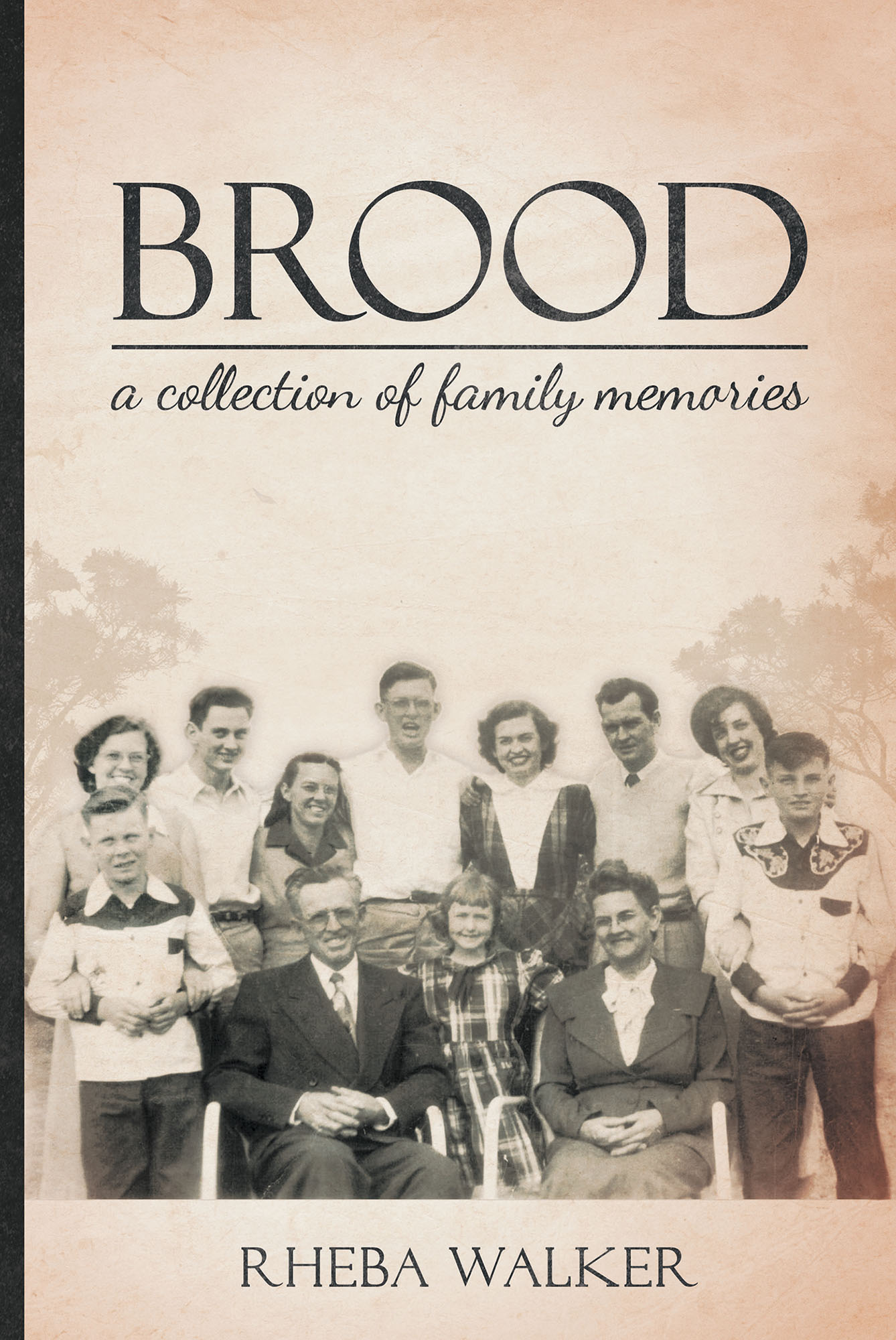 Brood Cover Image