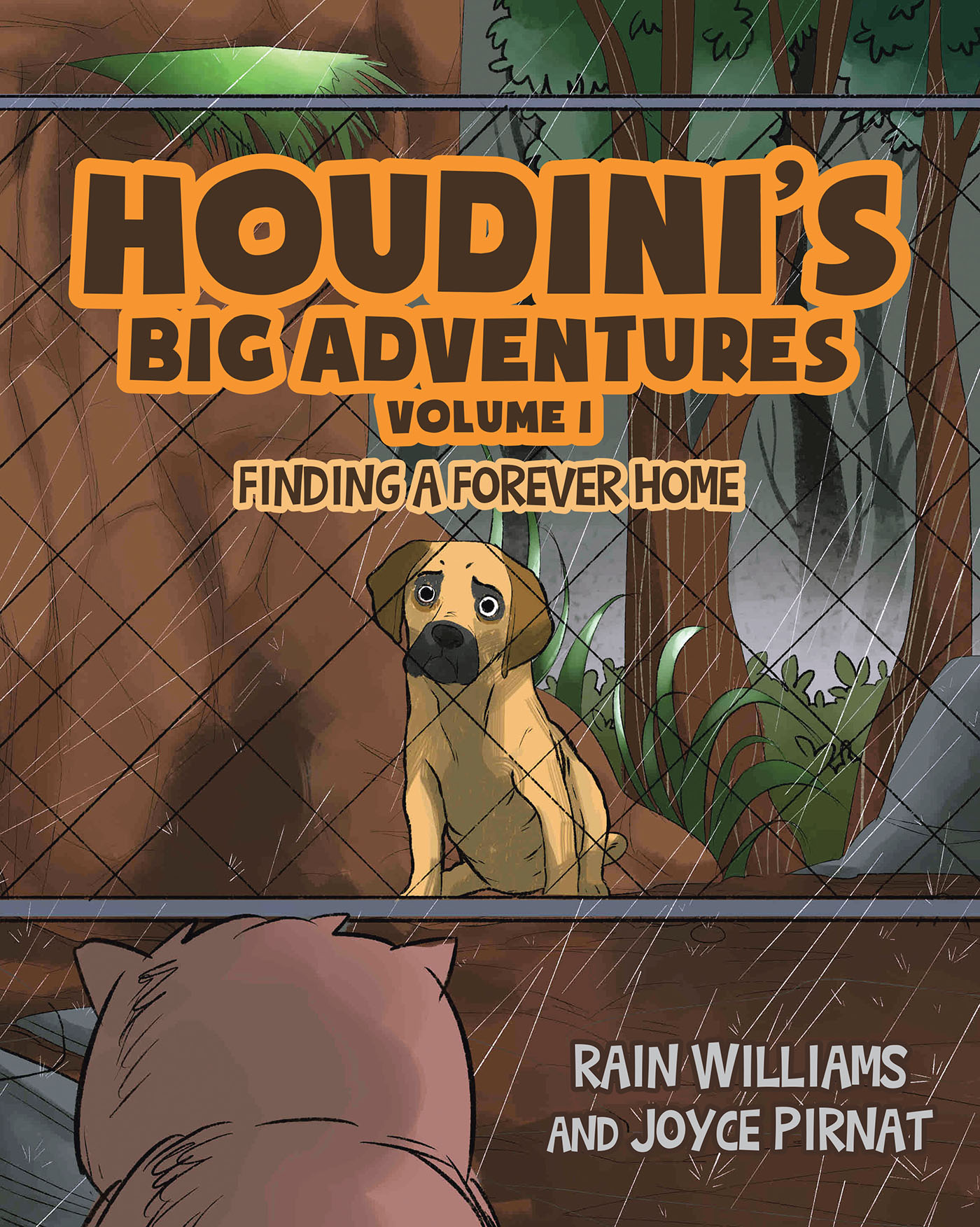 Houdini's Big Adventures Cover Image