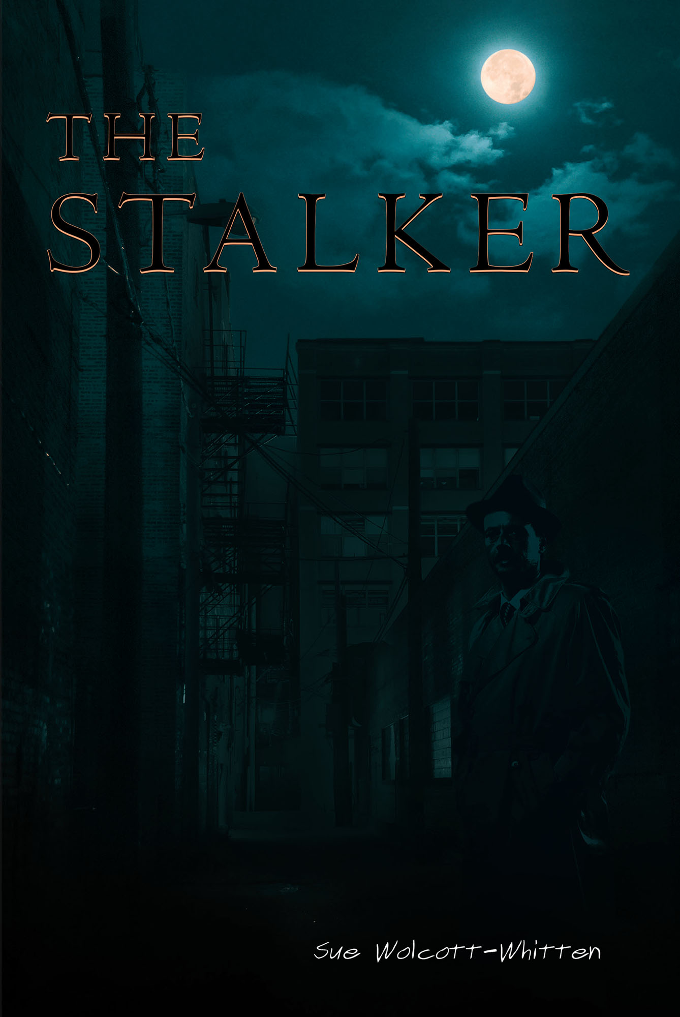 The Stalker Cover Image
