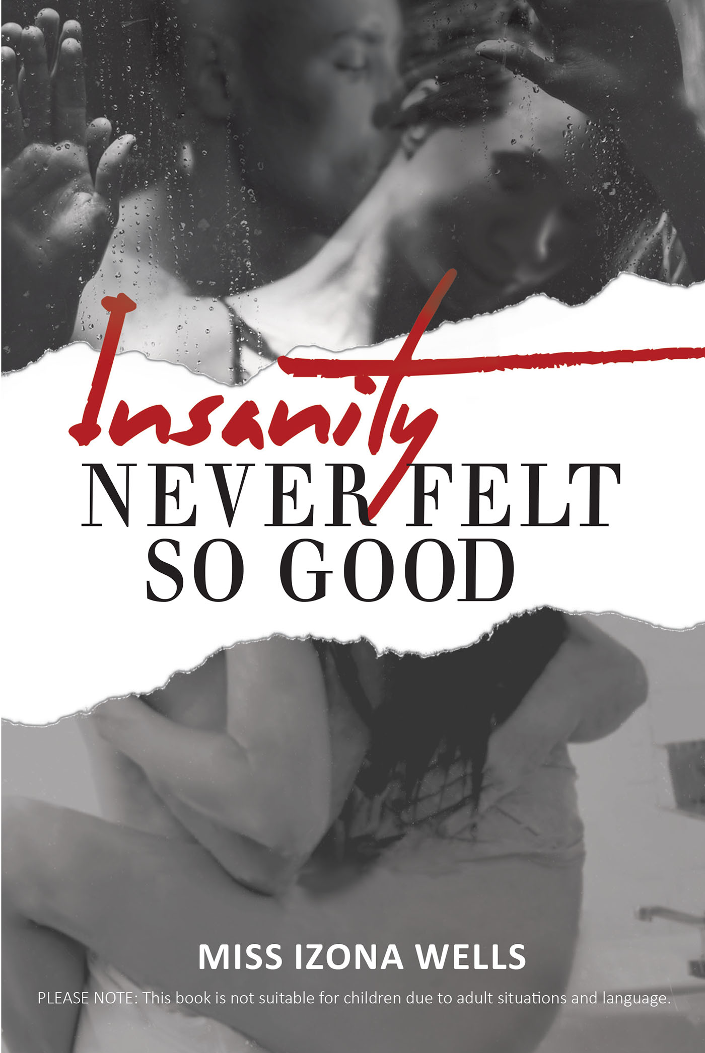 Insanity Never Felt So Good Cover Image