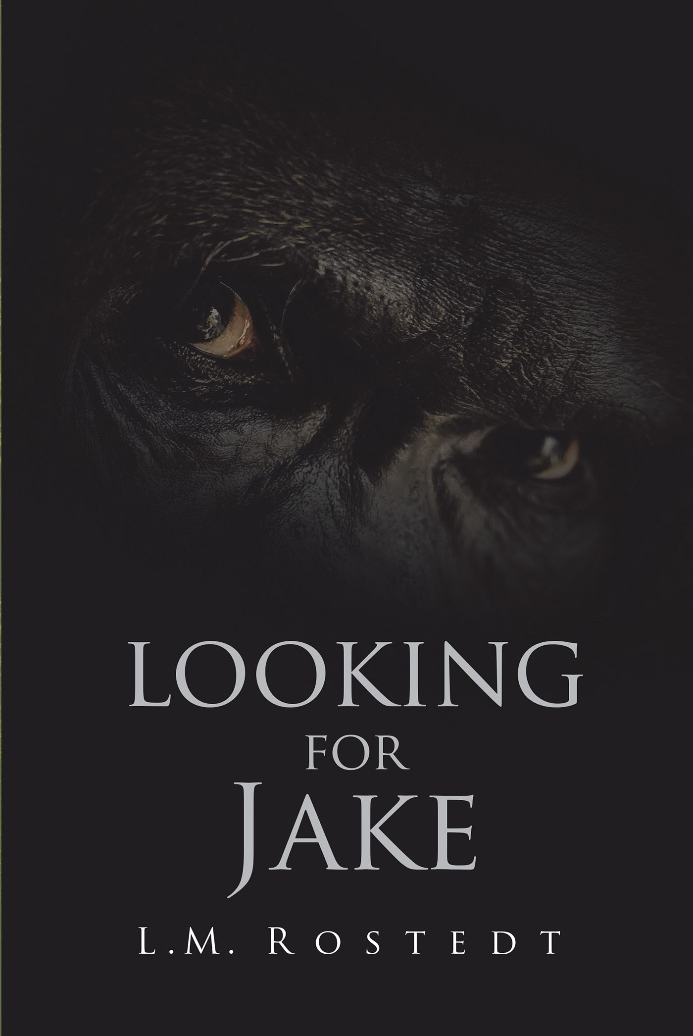 Looking for Jake Cover Image