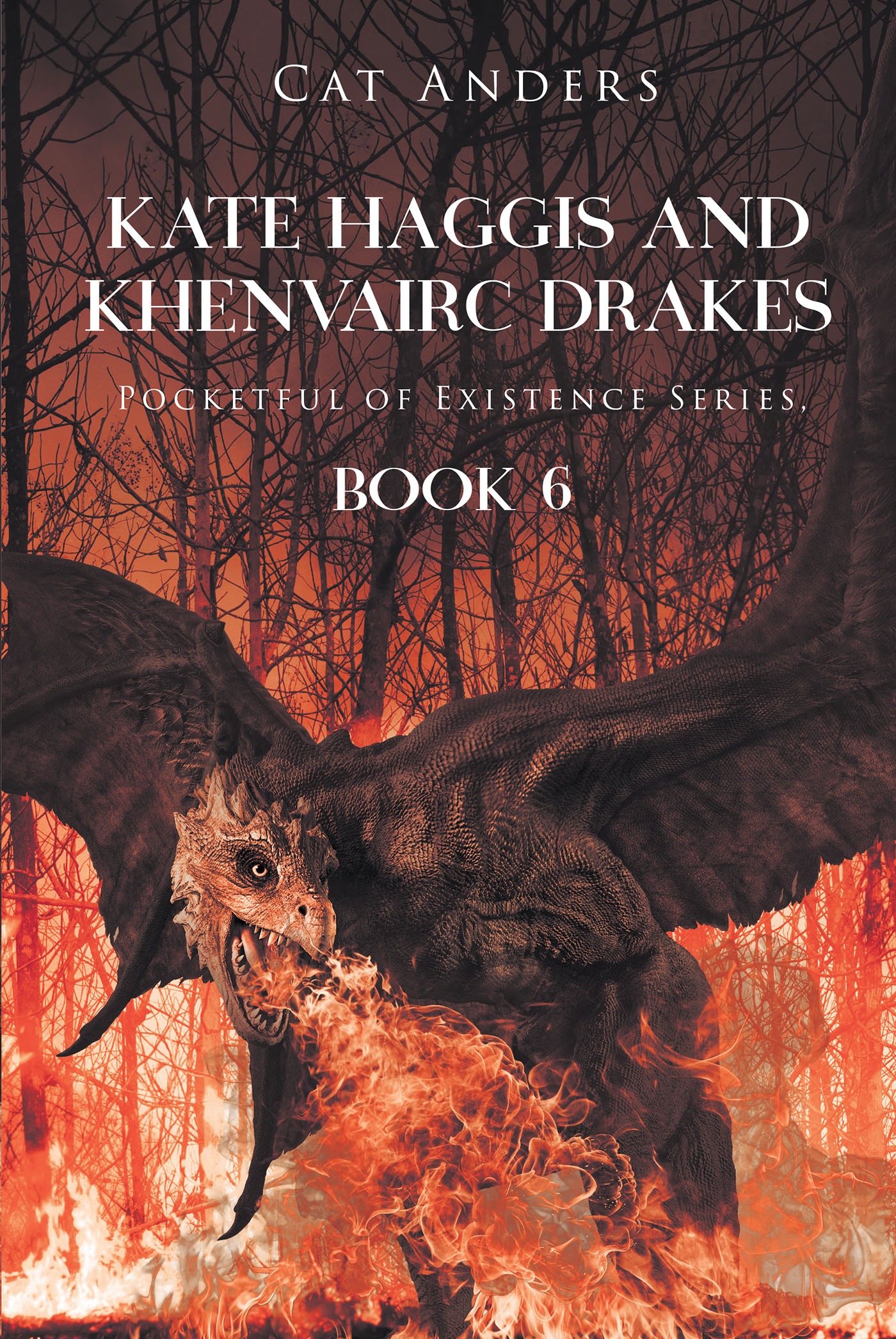 Kate Haggis and Khenvairc Drakes Cover Image