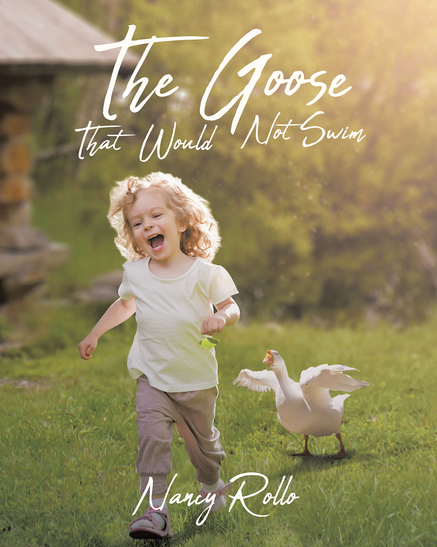 The Goose That Would Not Swim Cover Image