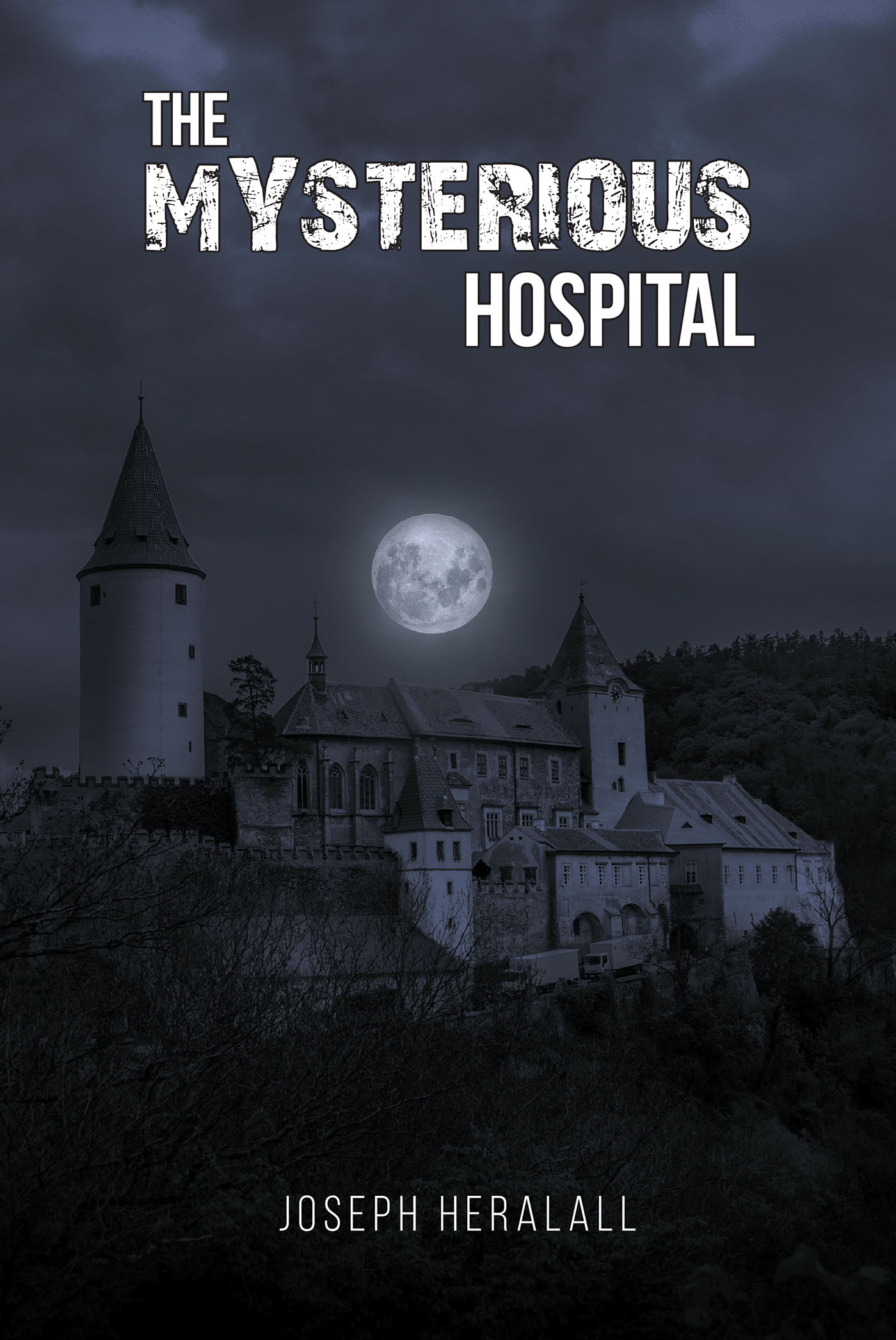 The Mysterious Hospital Cover Image