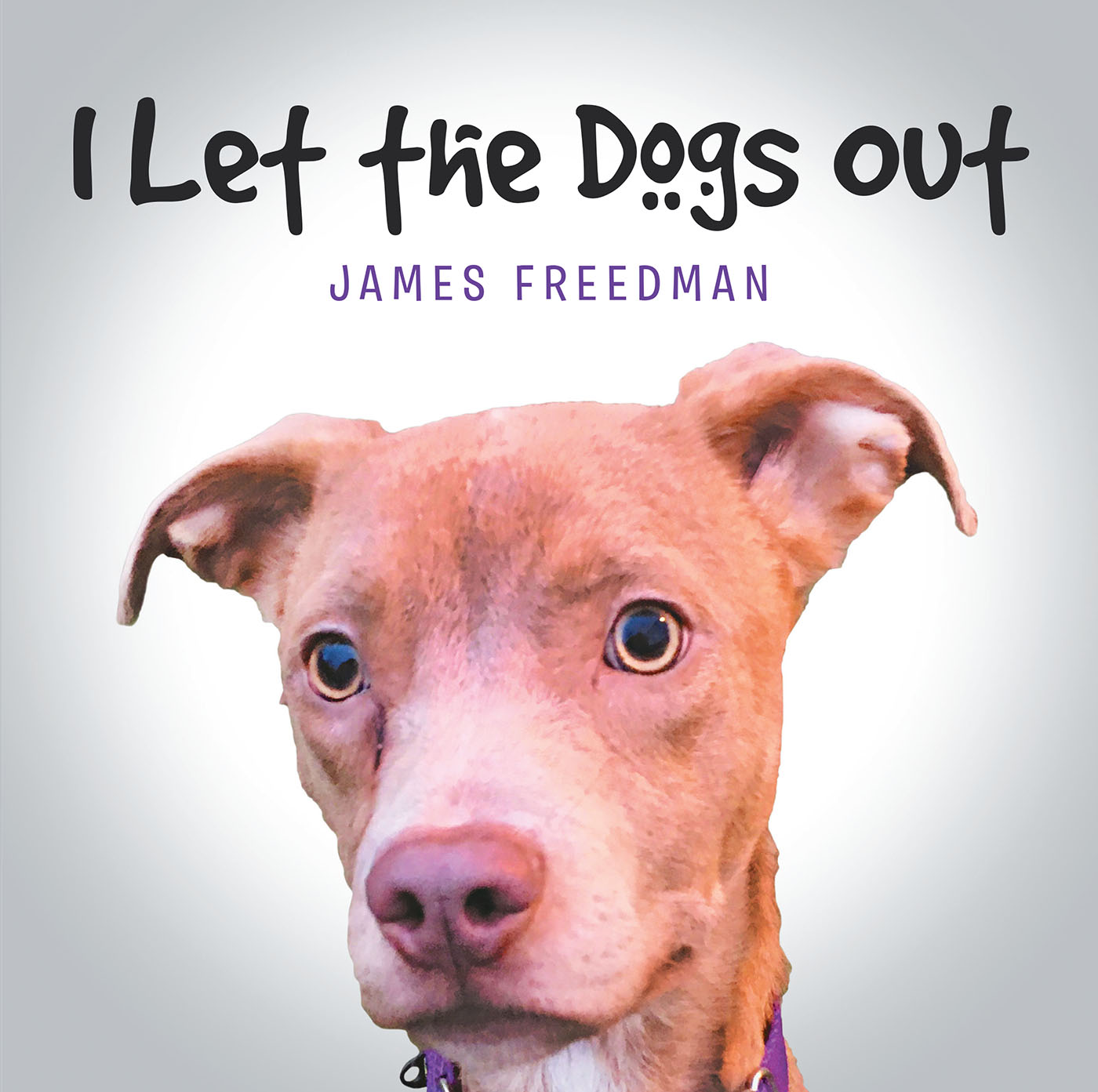 I Let the Dogs Out Cover Image