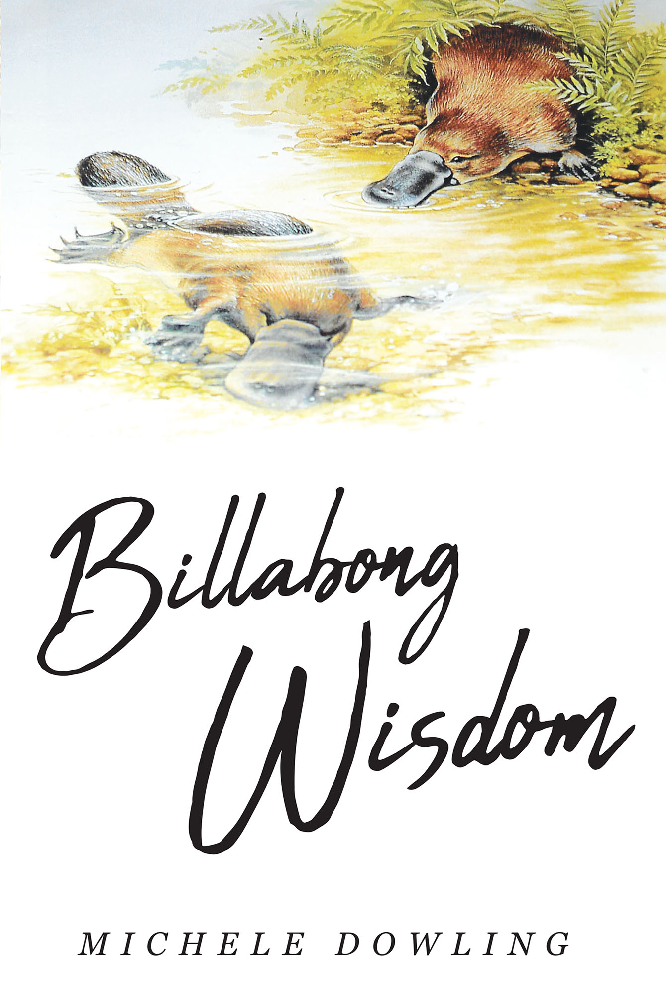 Billabong Wisdom Cover Image