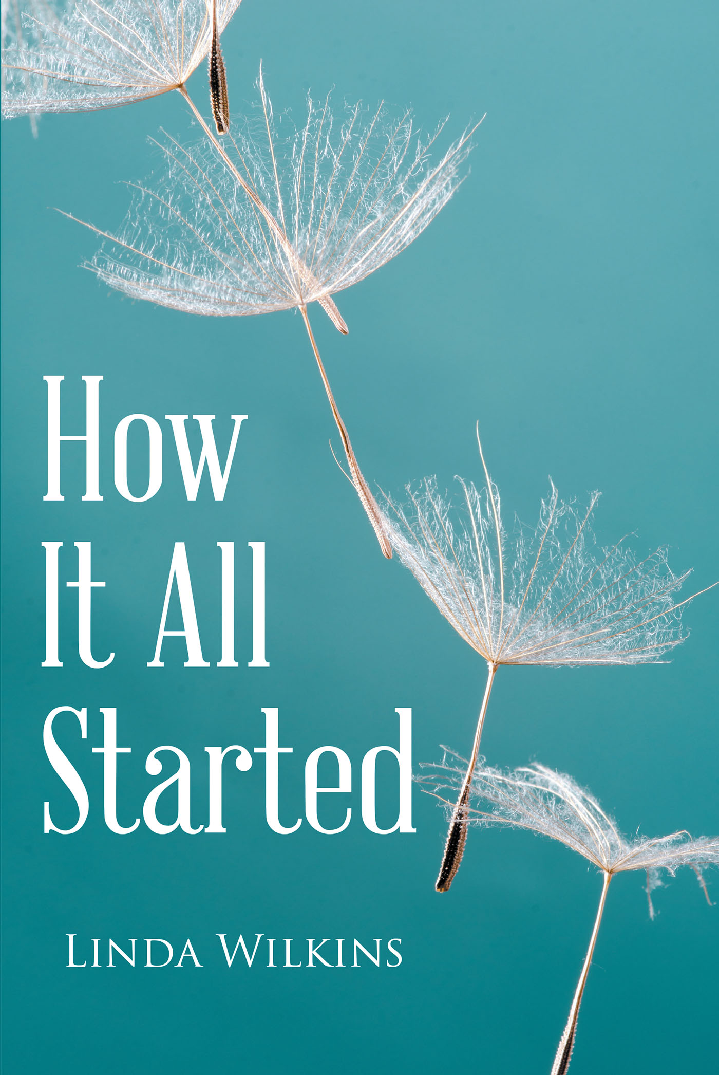 How It All Started Cover Image