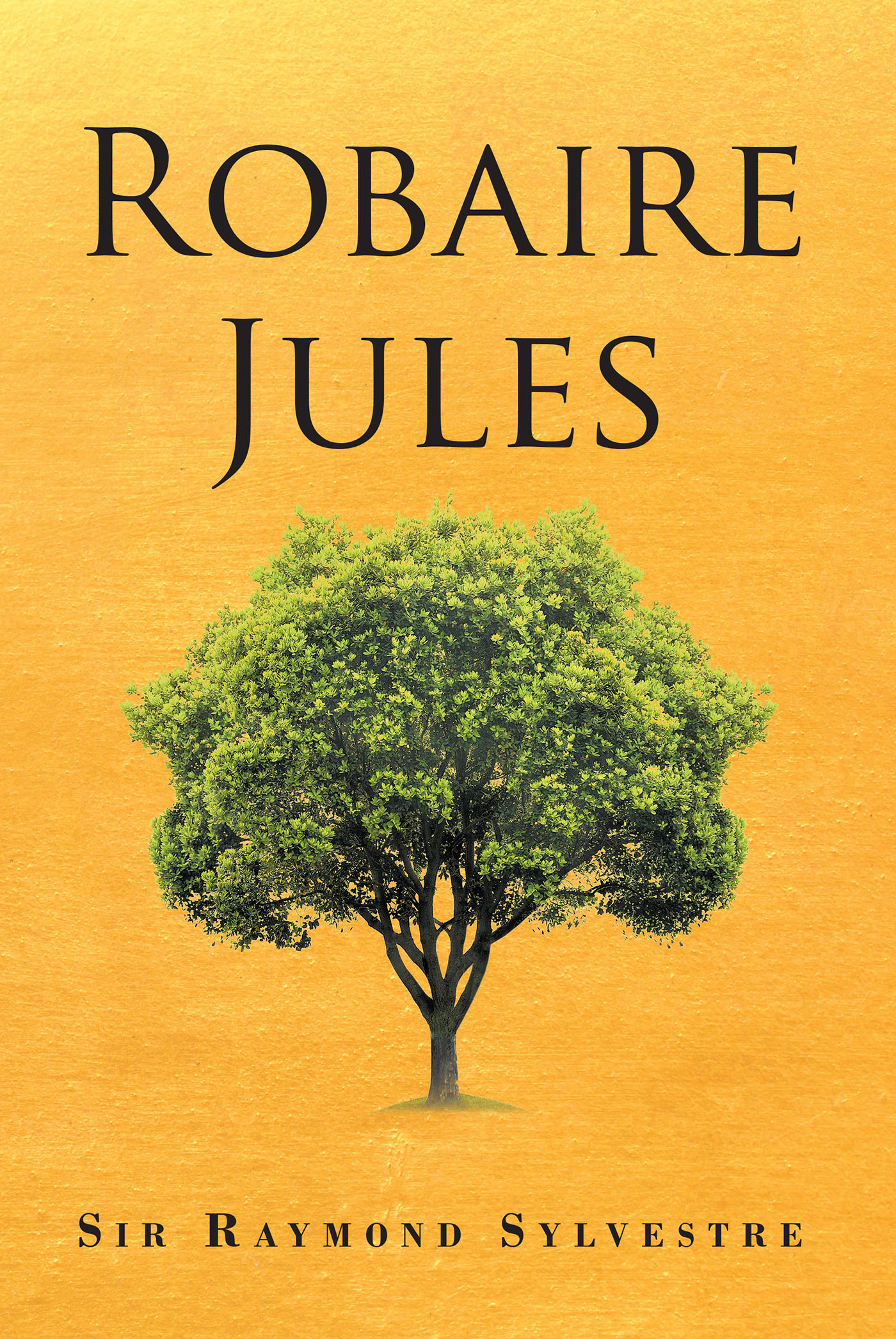 Robaire Jules Cover Image