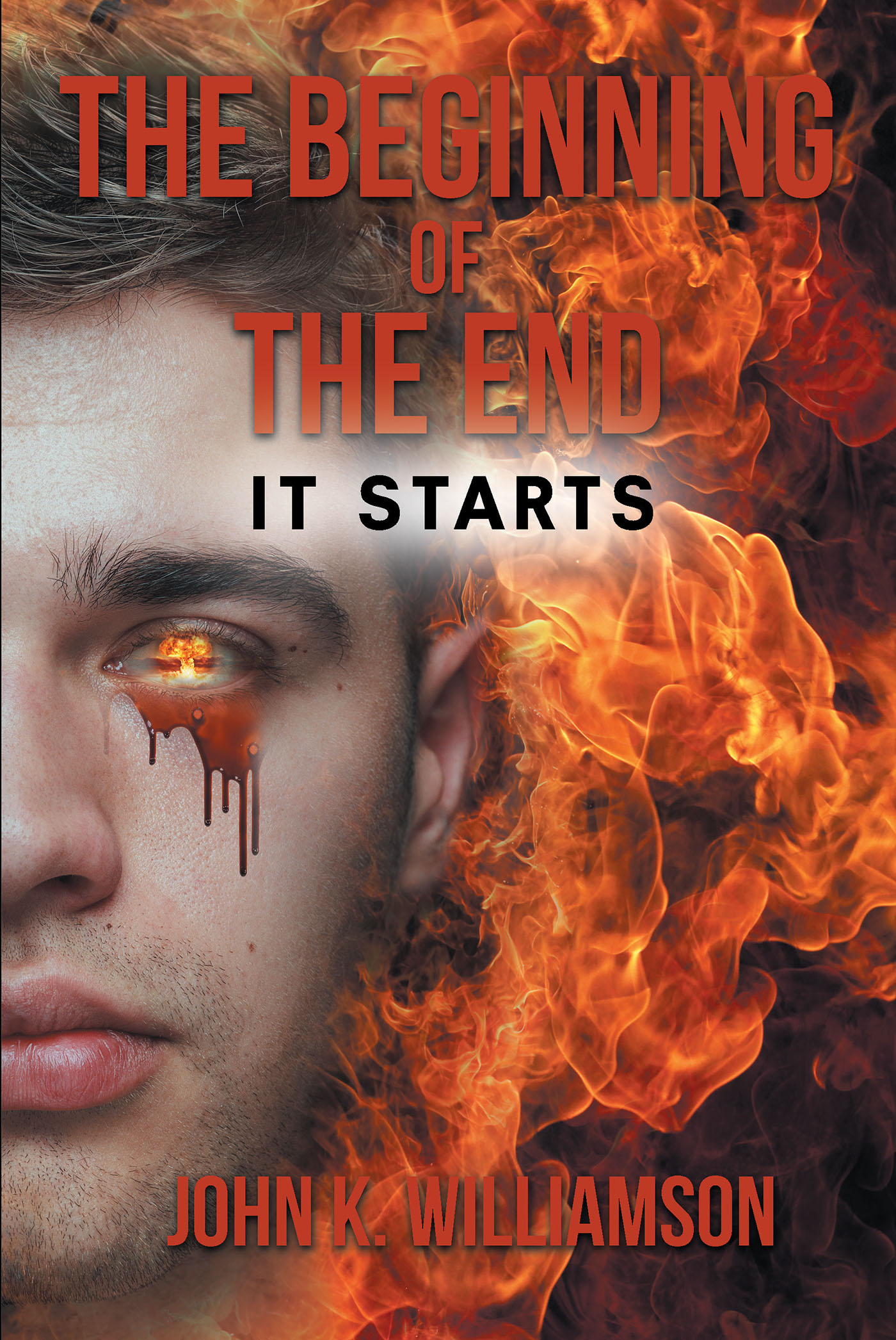 The Beginning of the End Cover Image