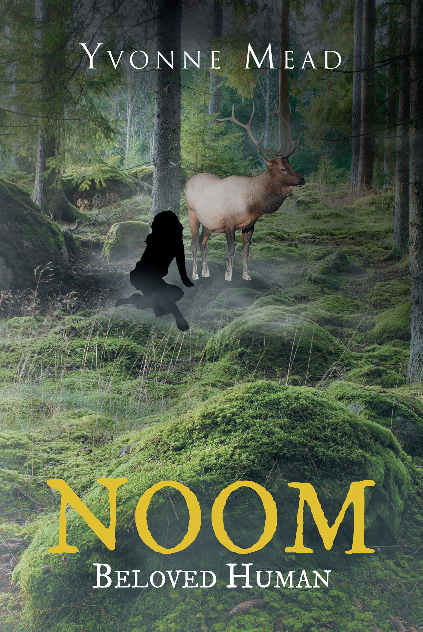 NOOM Cover Image