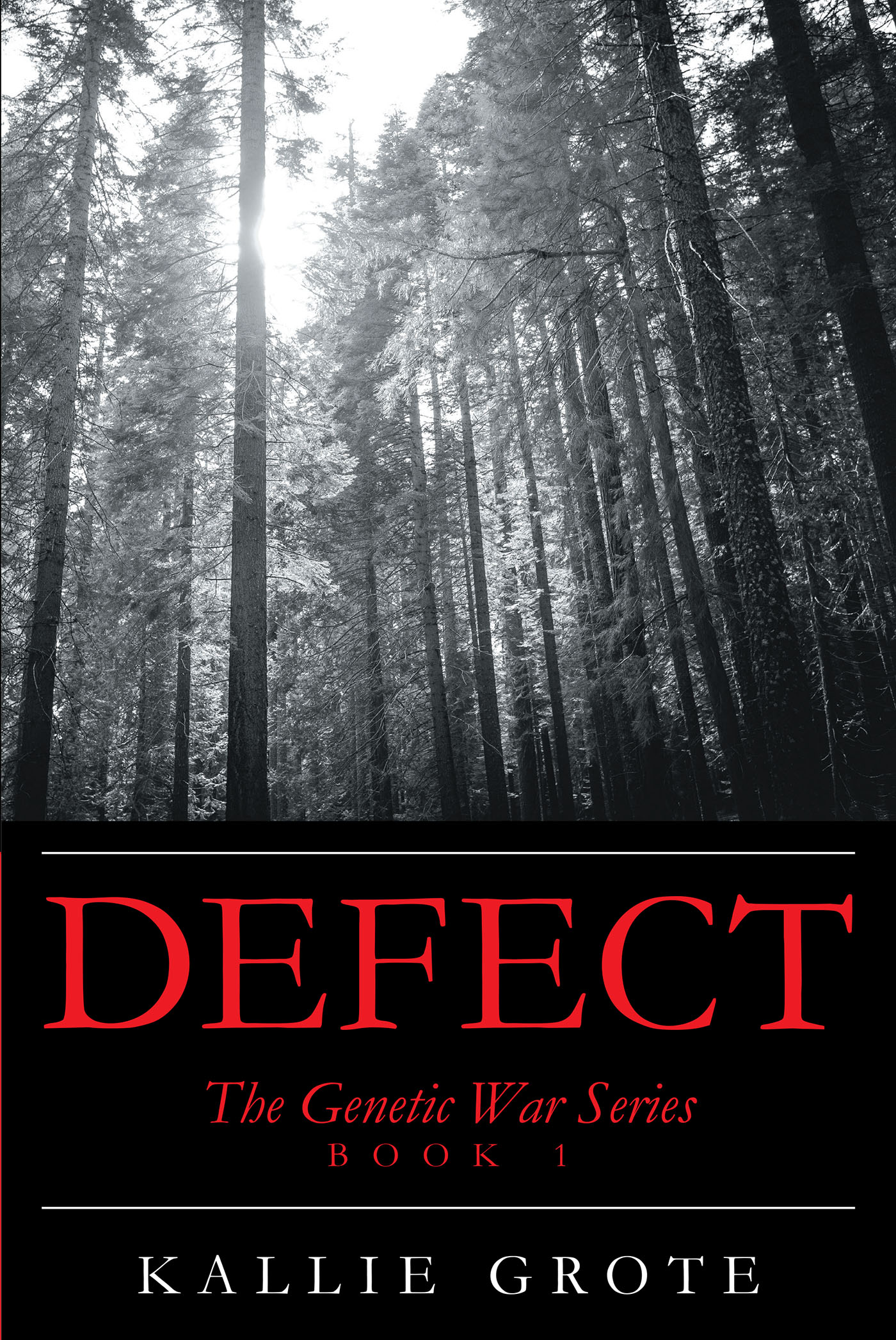 Defect Cover Image