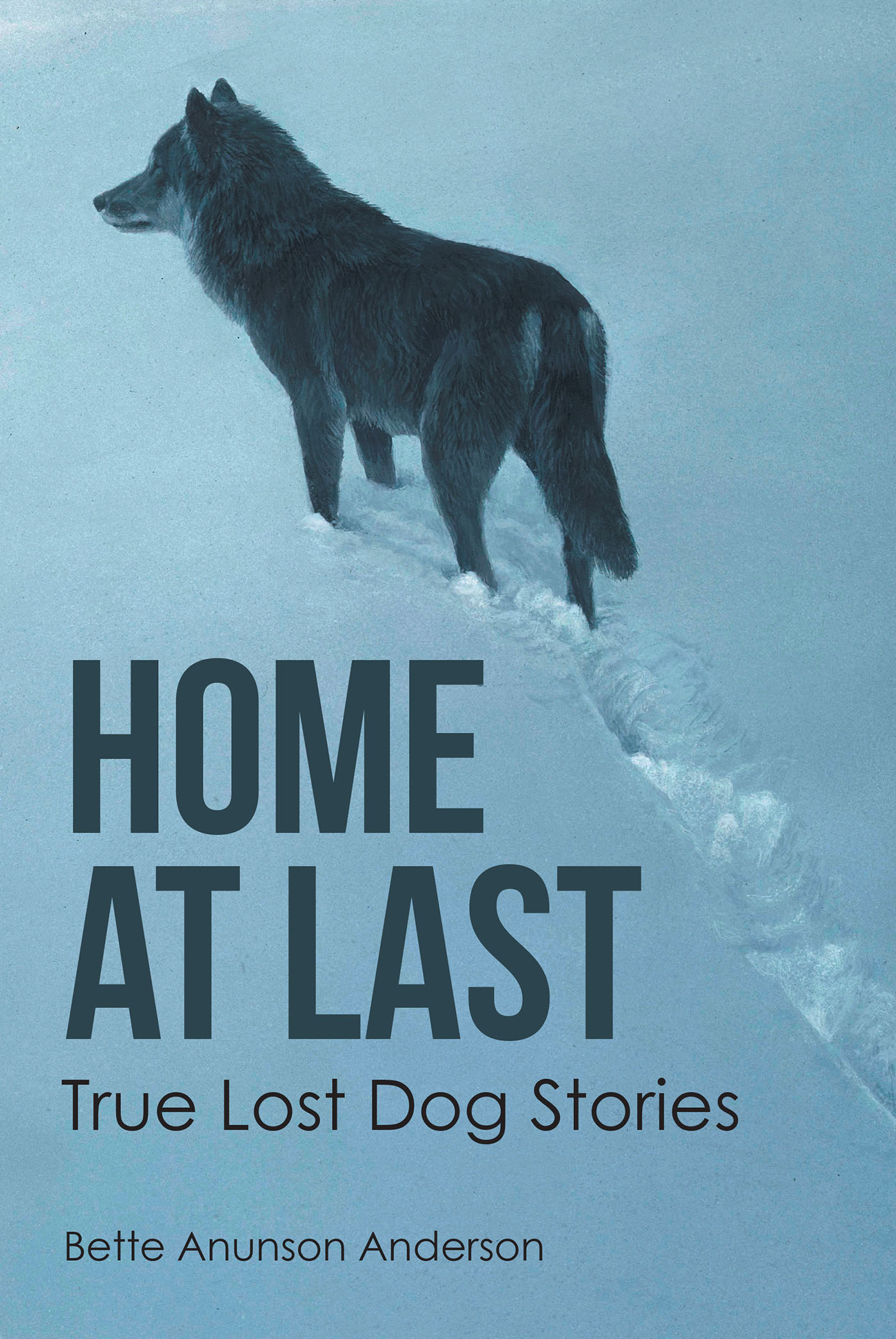 Home at last Cover Image