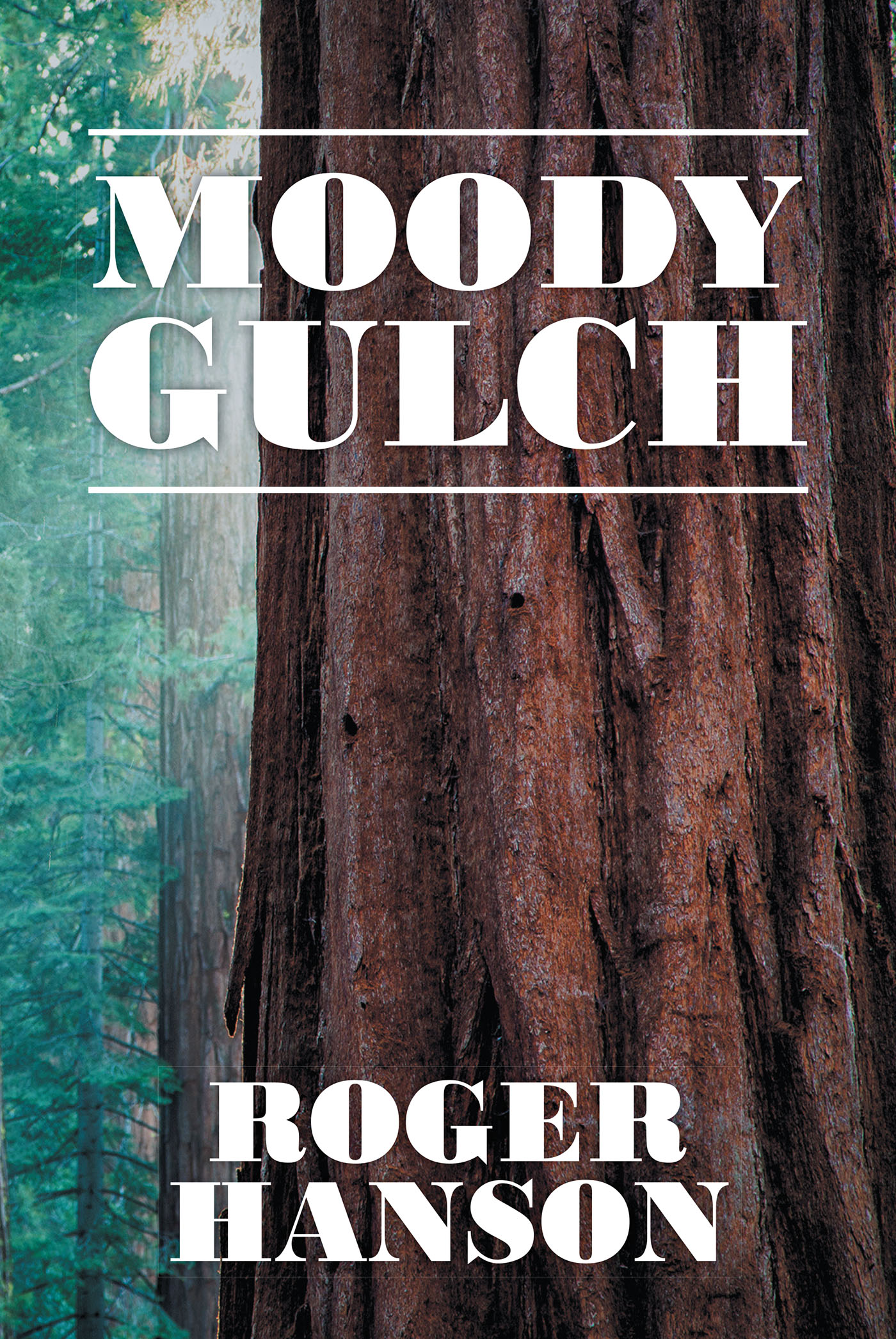 Moody Gulch Cover Image