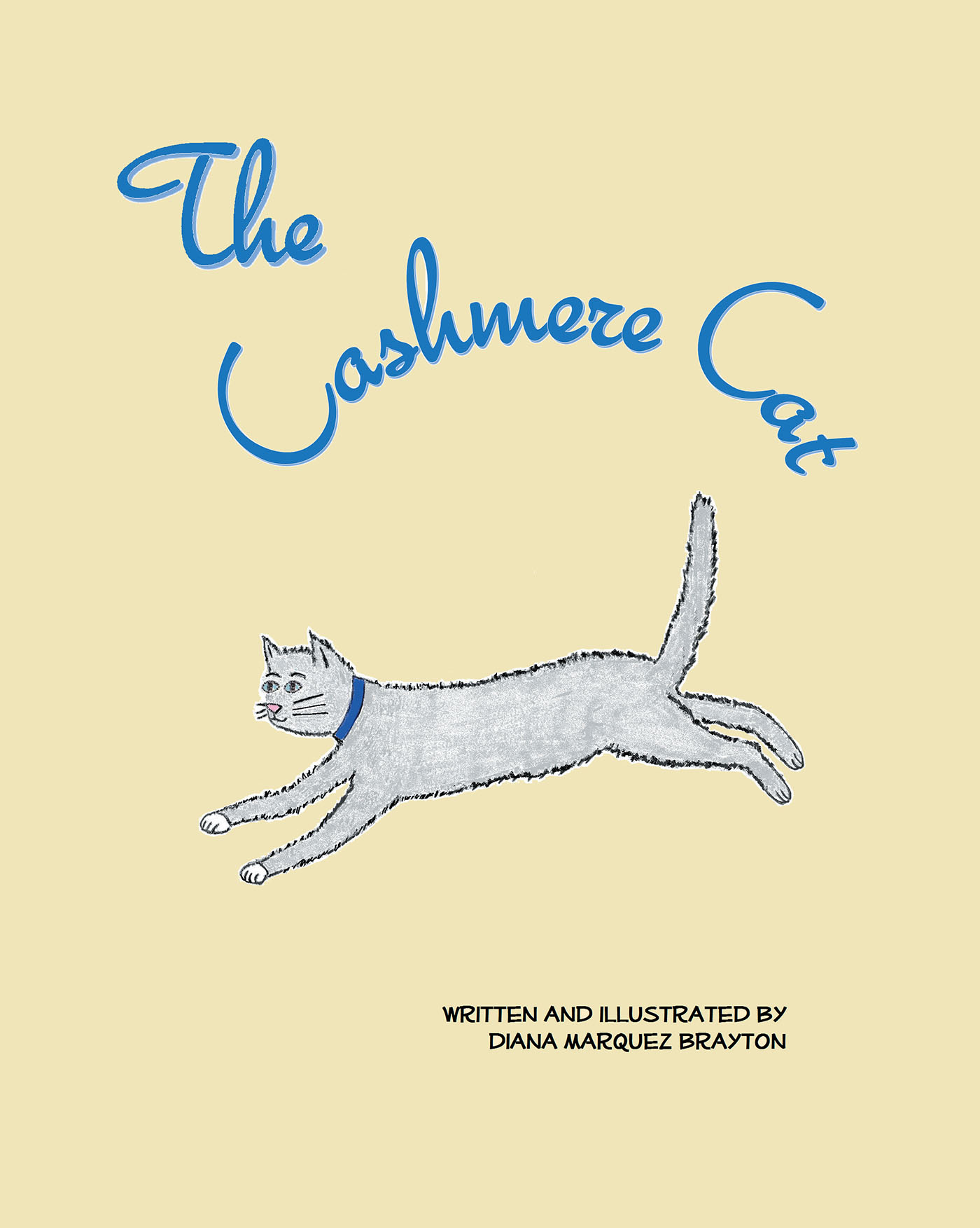 The Cashmere Cat Cover Image