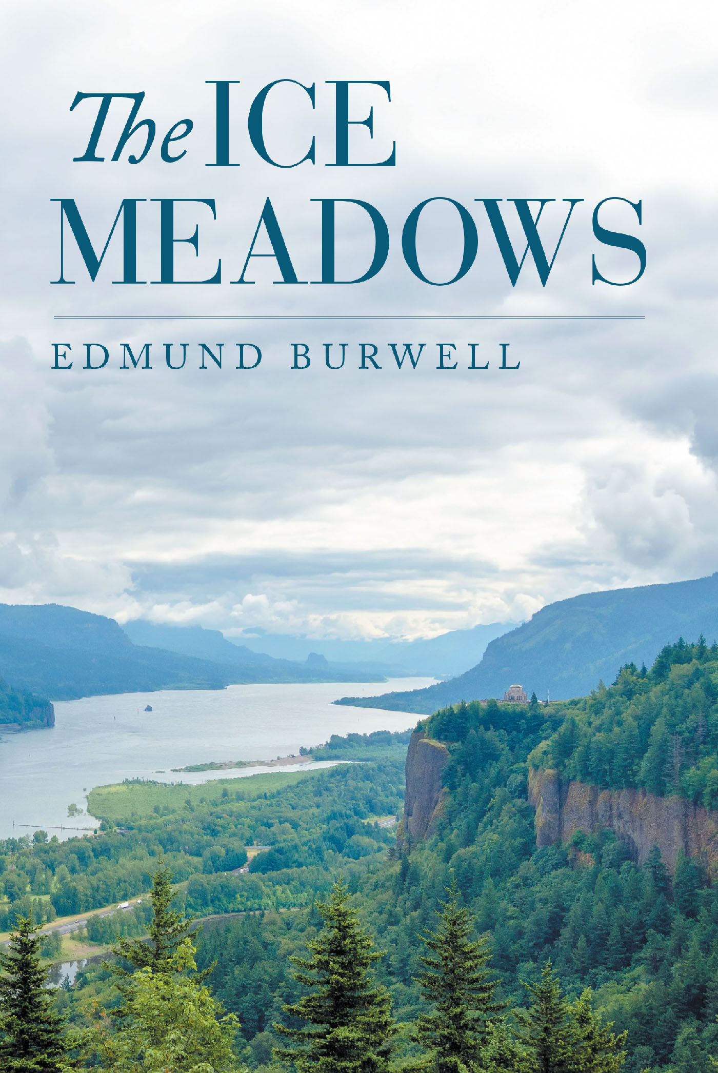 The Ice Meadows Cover Image
