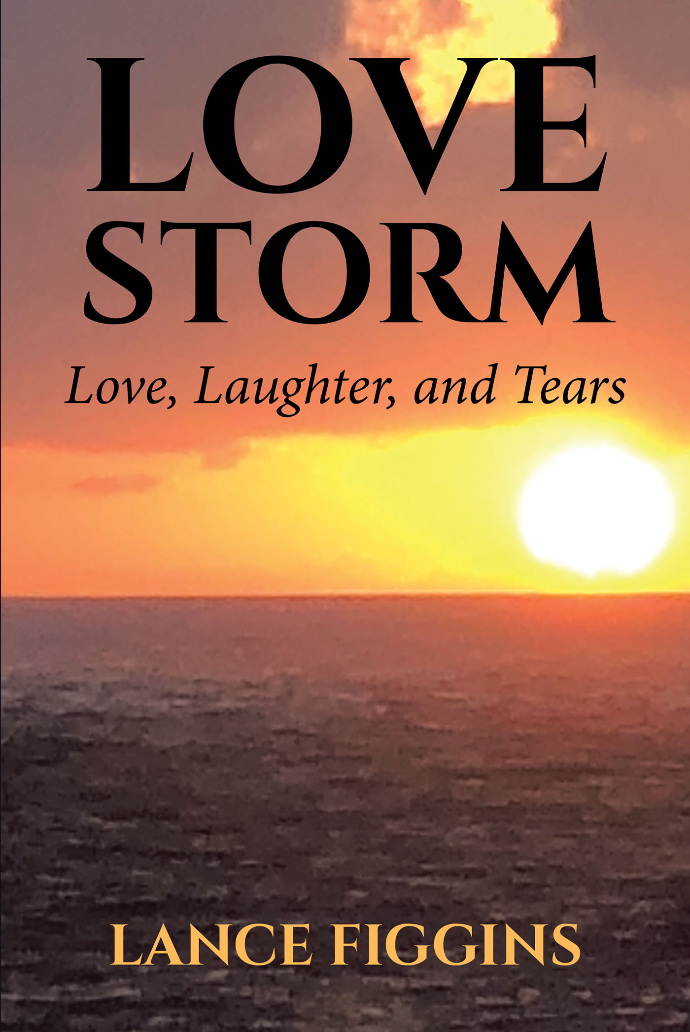 Love Storm Cover Image