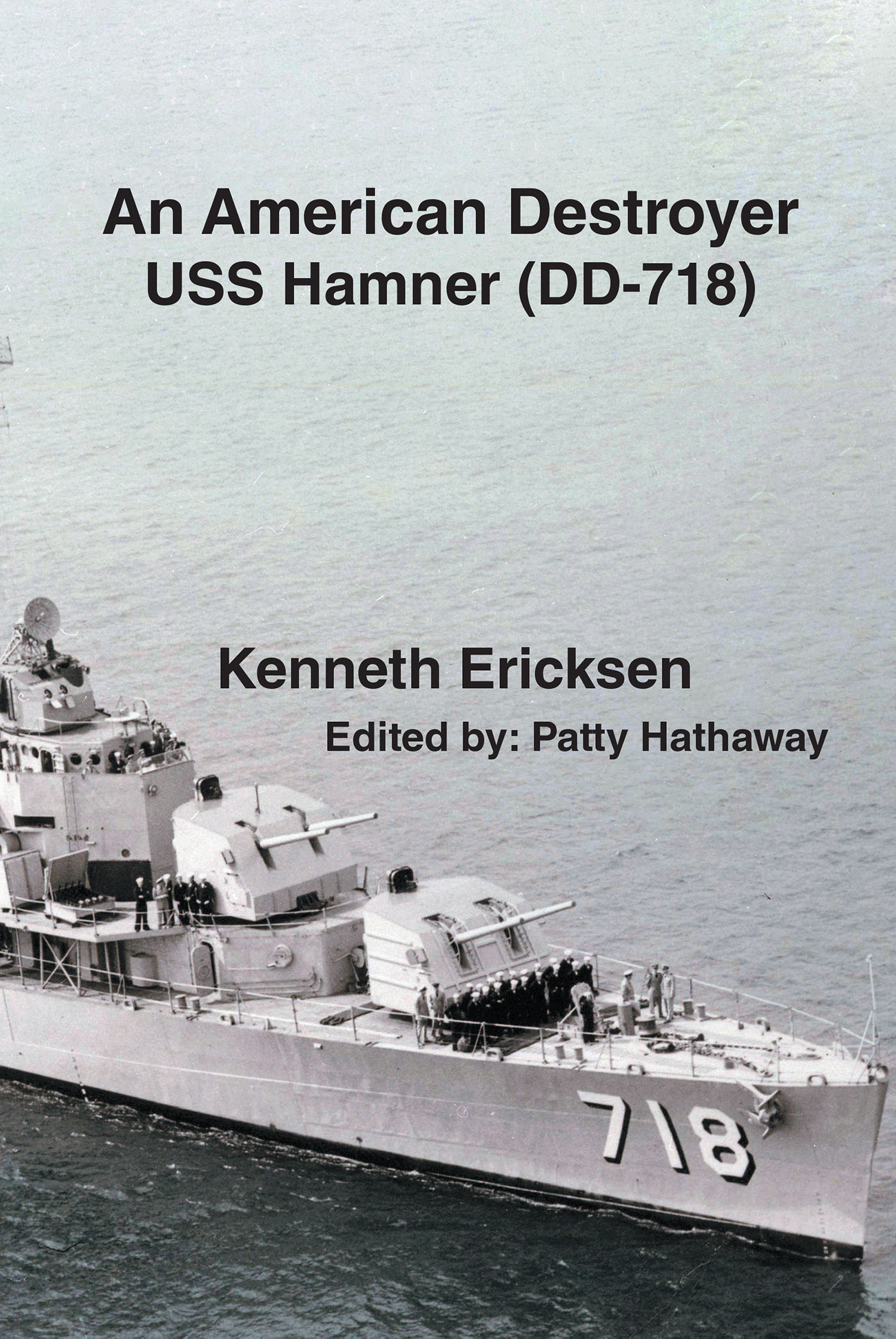 An American Destroyer Cover Image