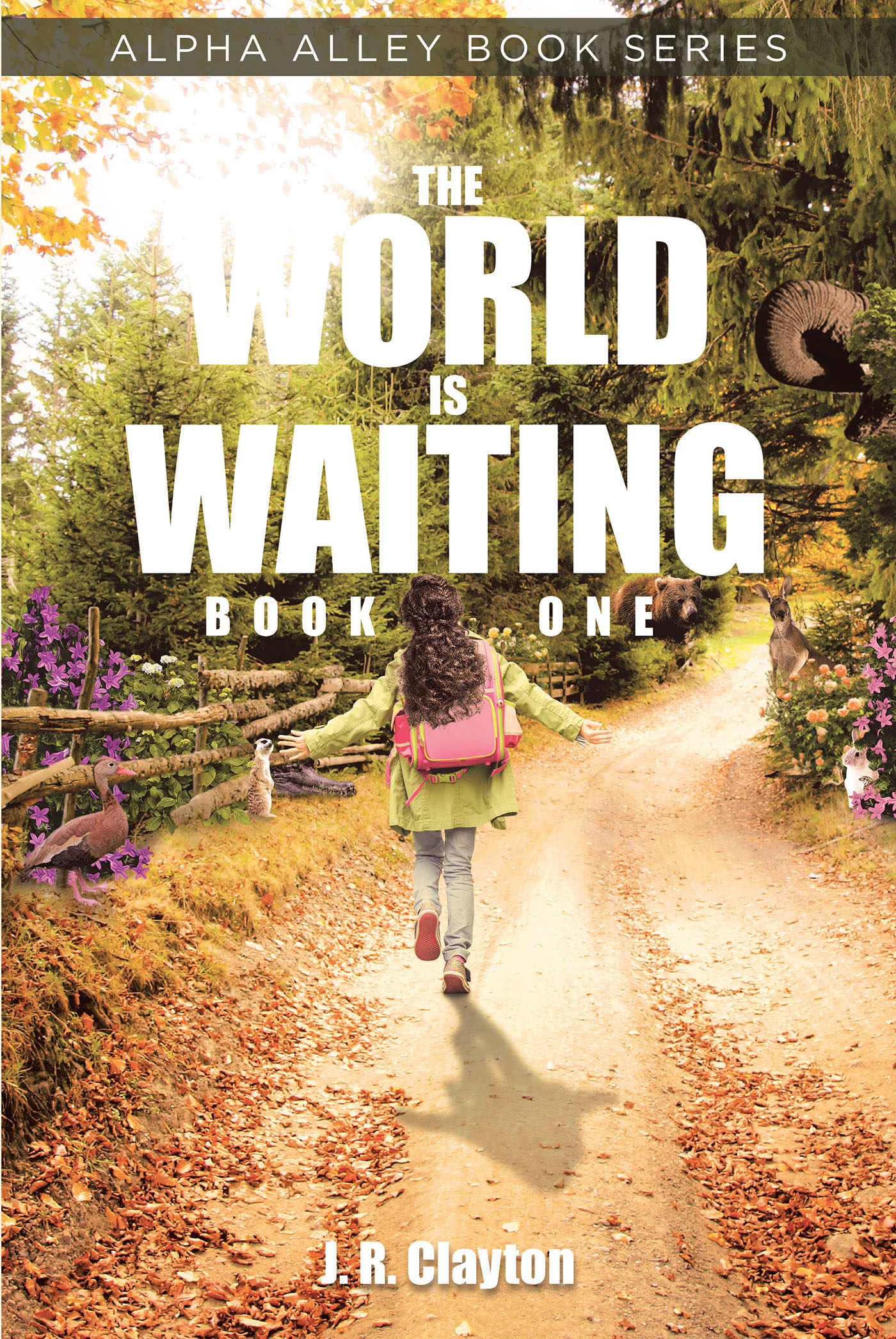 The World is Waiting Cover Image