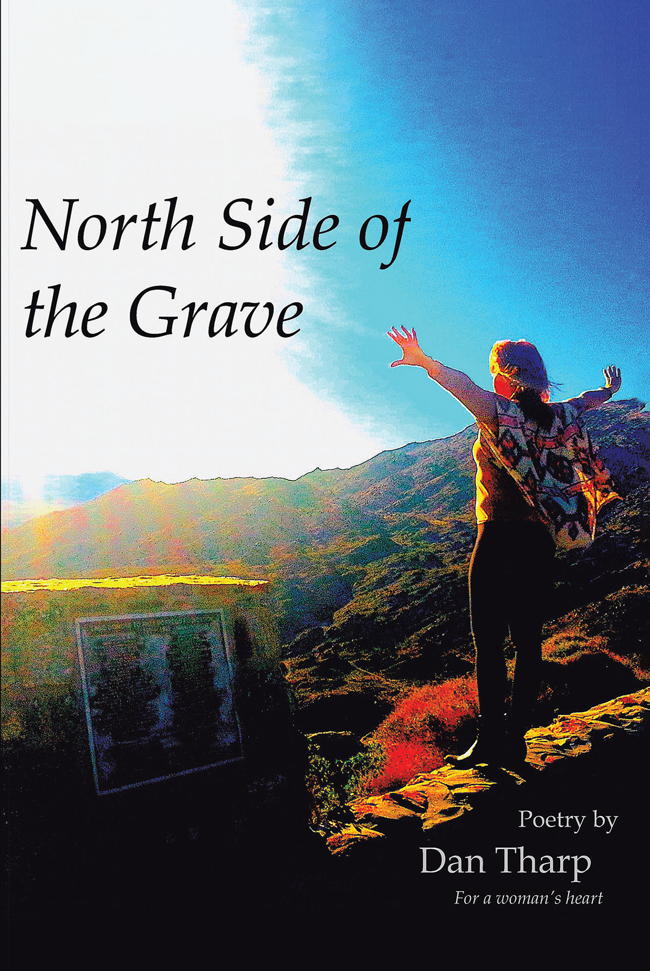 North Side of the Grave Cover Image