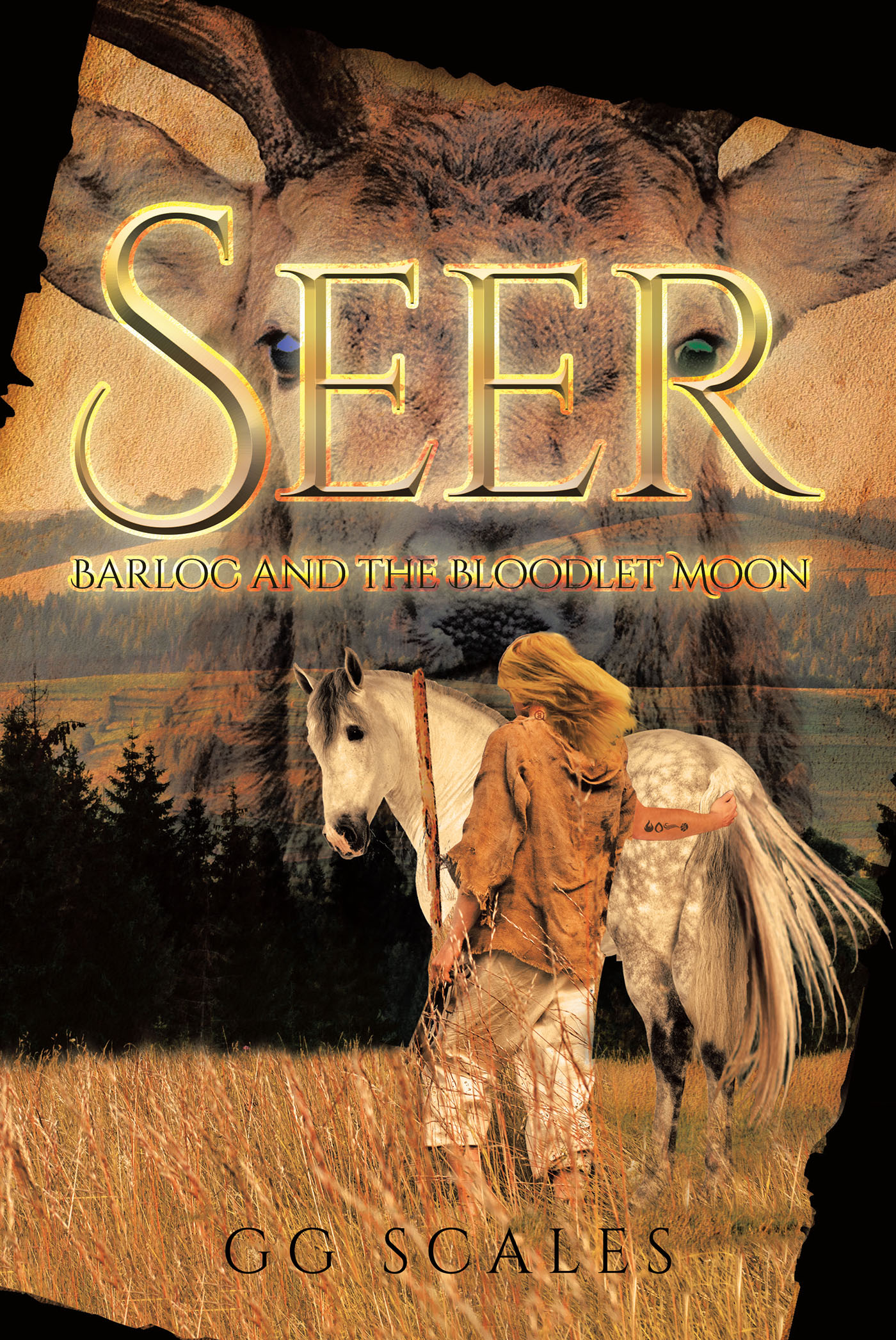 Seer Cover Image