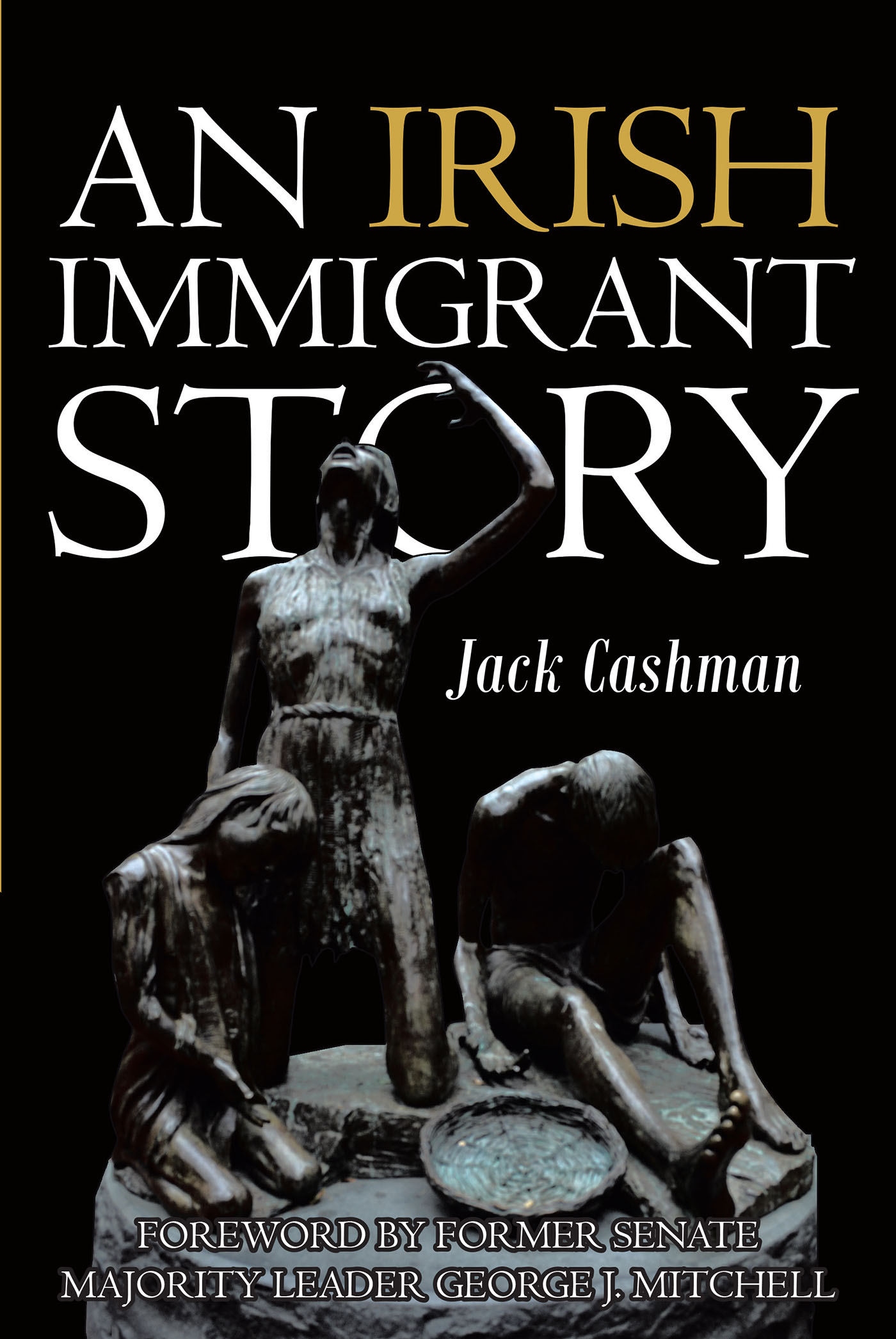 An Irish Immigrant Story Cover Image