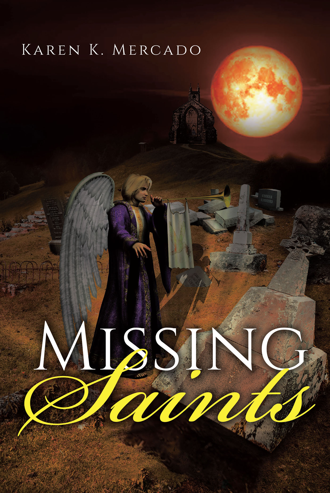 Missing Saints  Cover Image