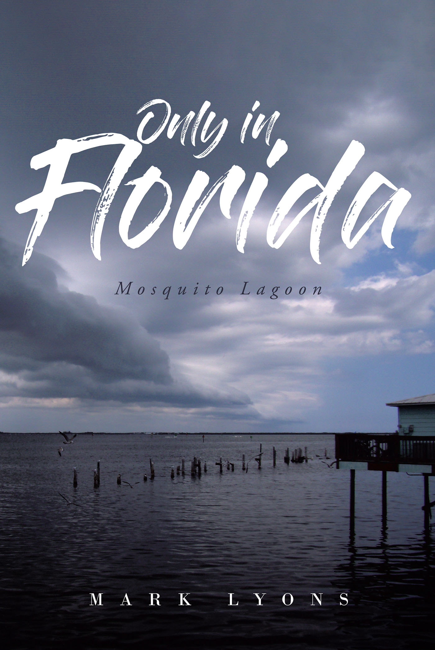Only in Florida Cover Image