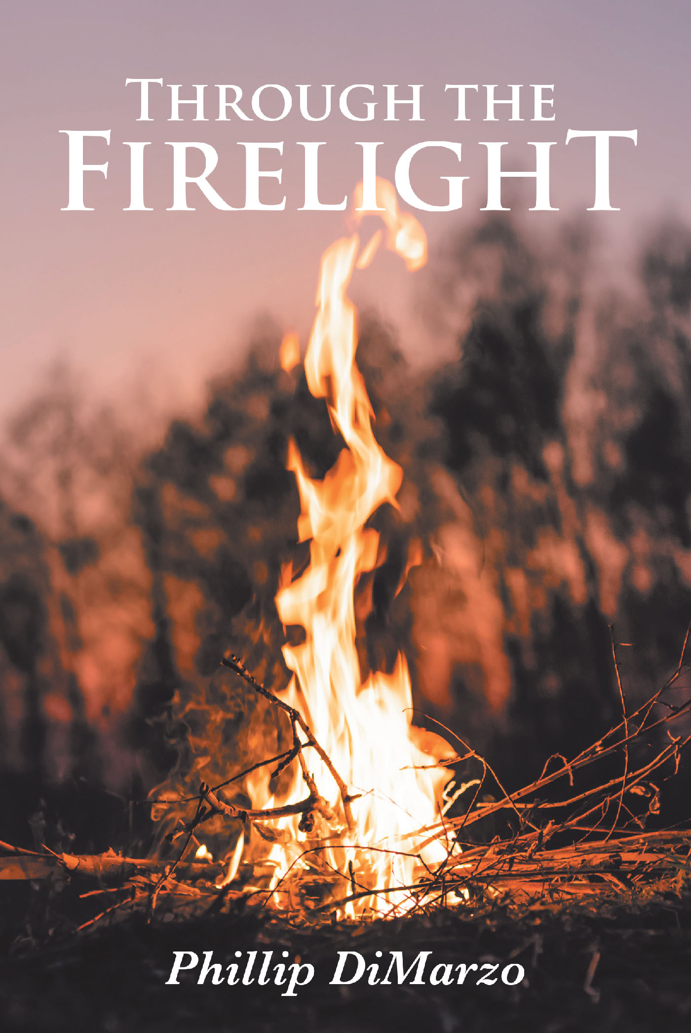 Through the Firelight  Cover Image