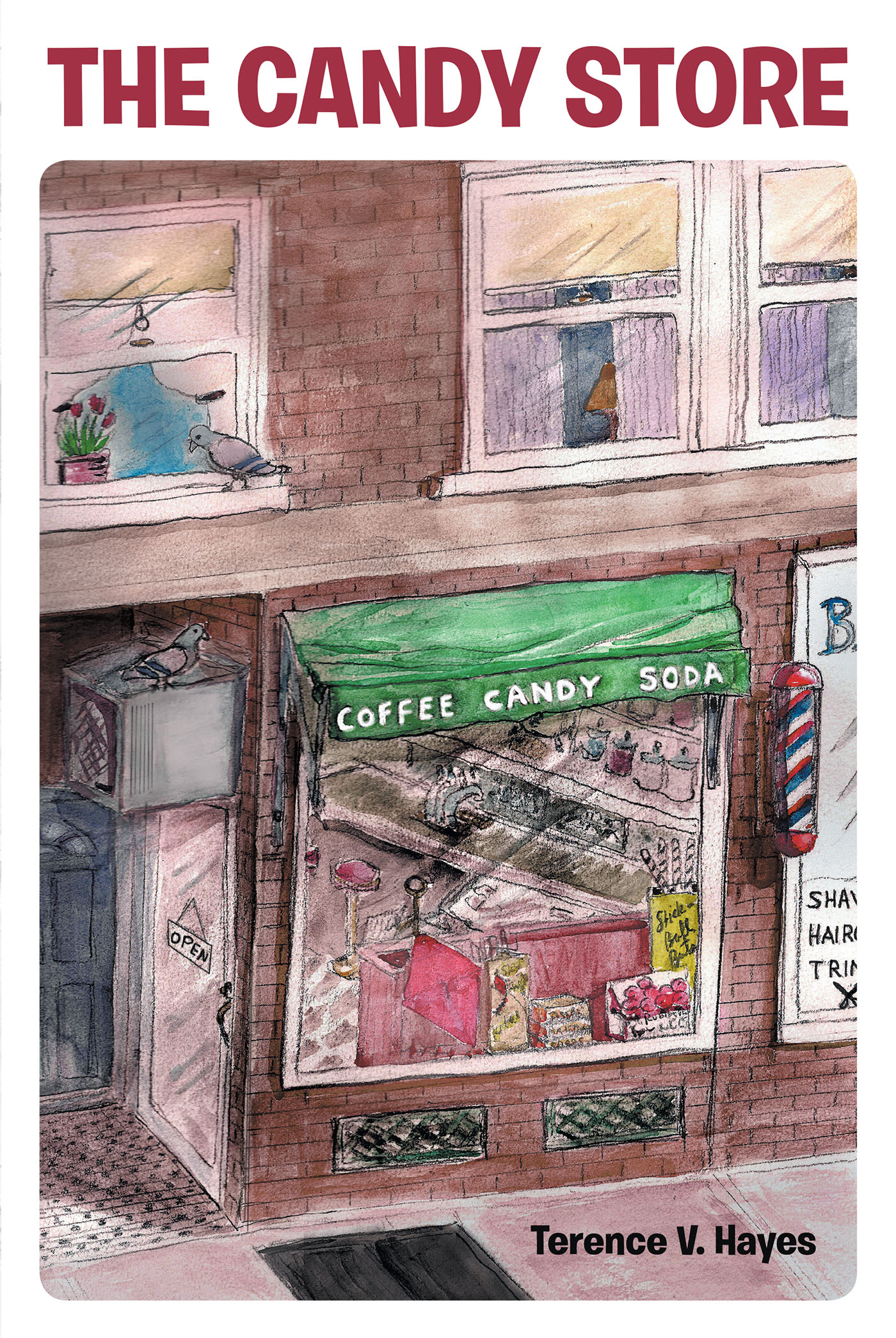The Candy Store Cover Image