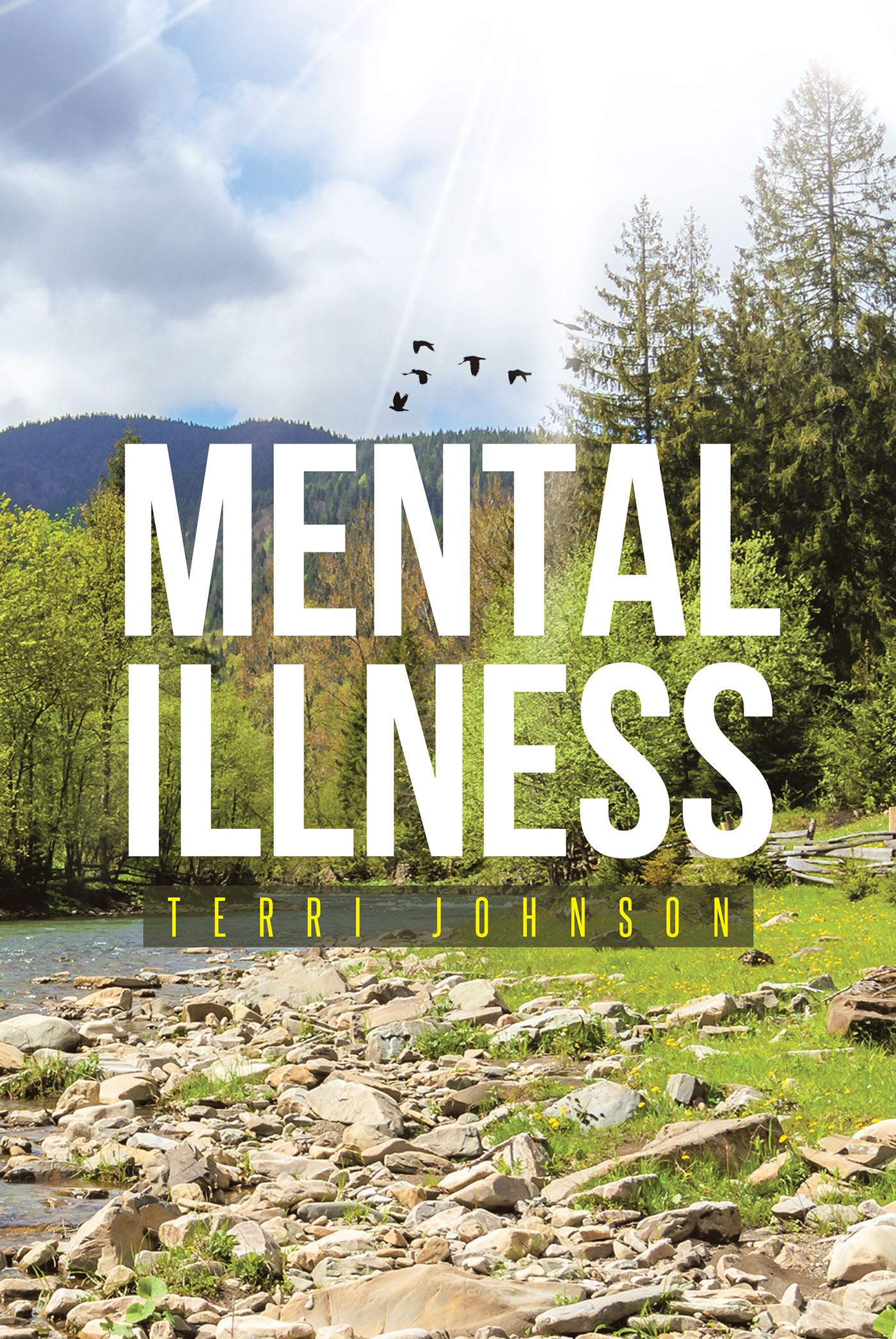 Mental Illness   Cover Image