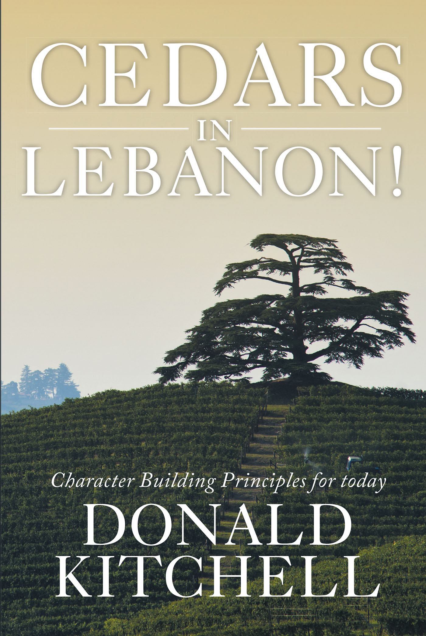  Cedars in Lebanon! Cover Image