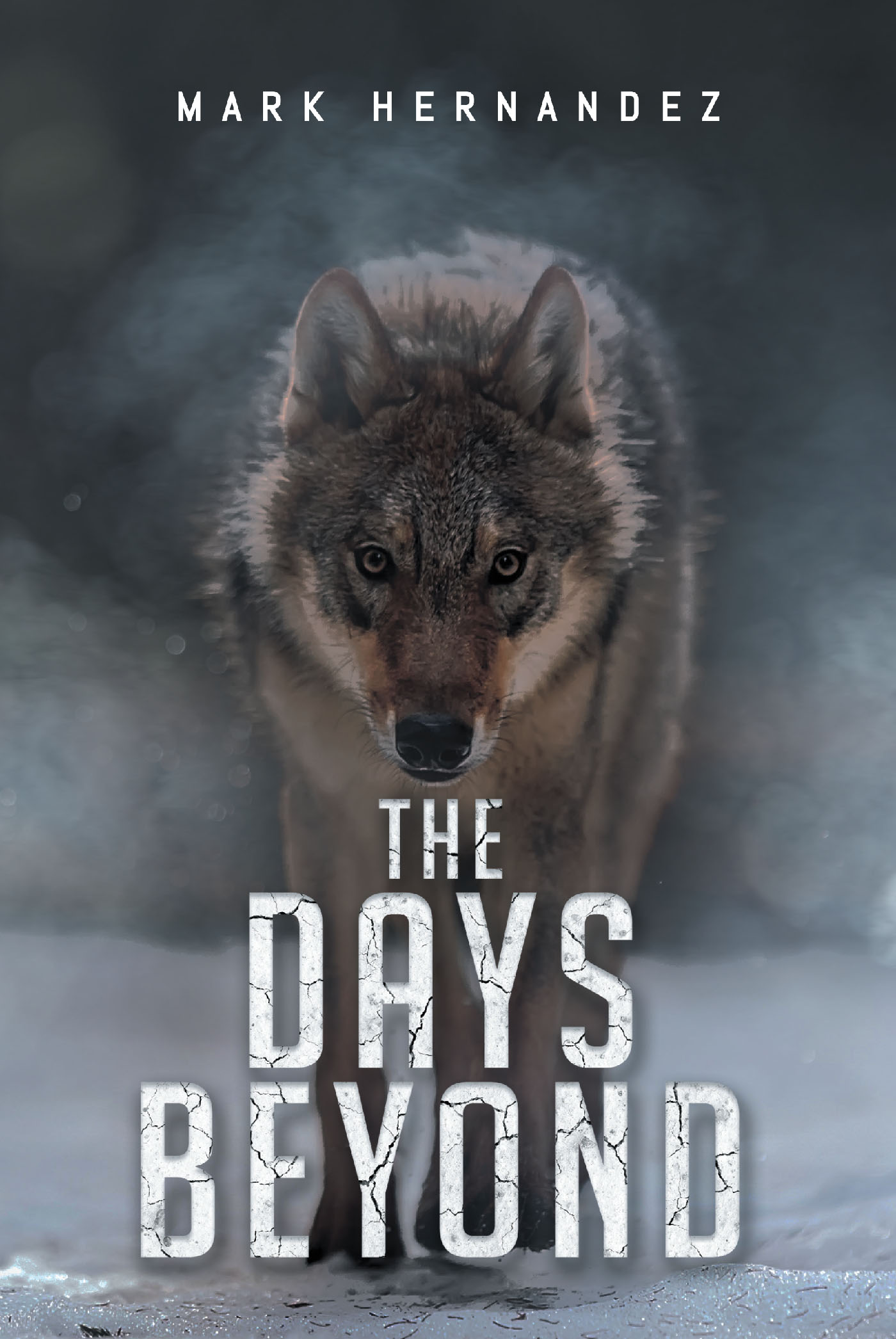 The Days Beyond Cover Image