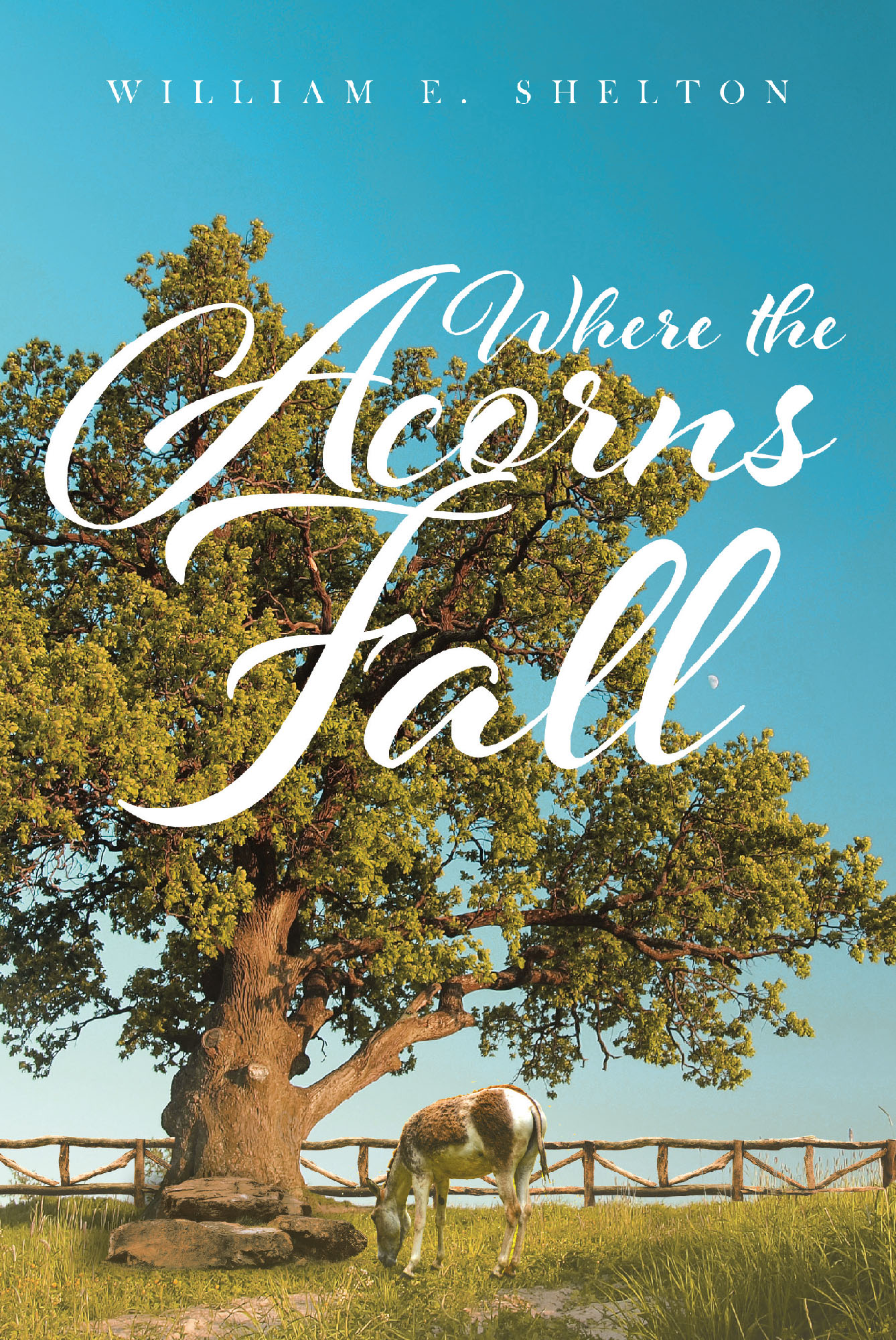 Where the Acorns Fall Cover Image
