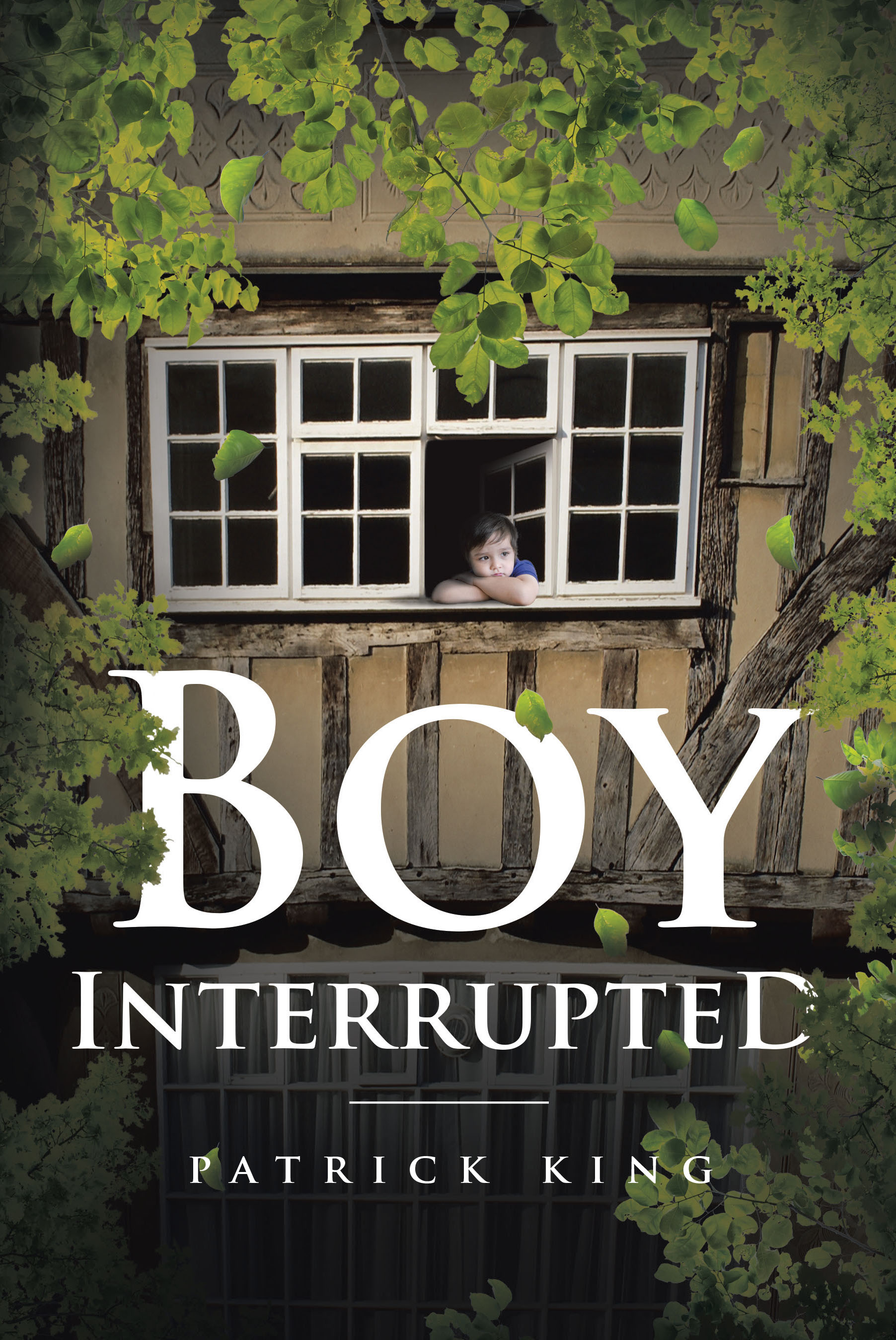 Boy Interrupted Cover Image