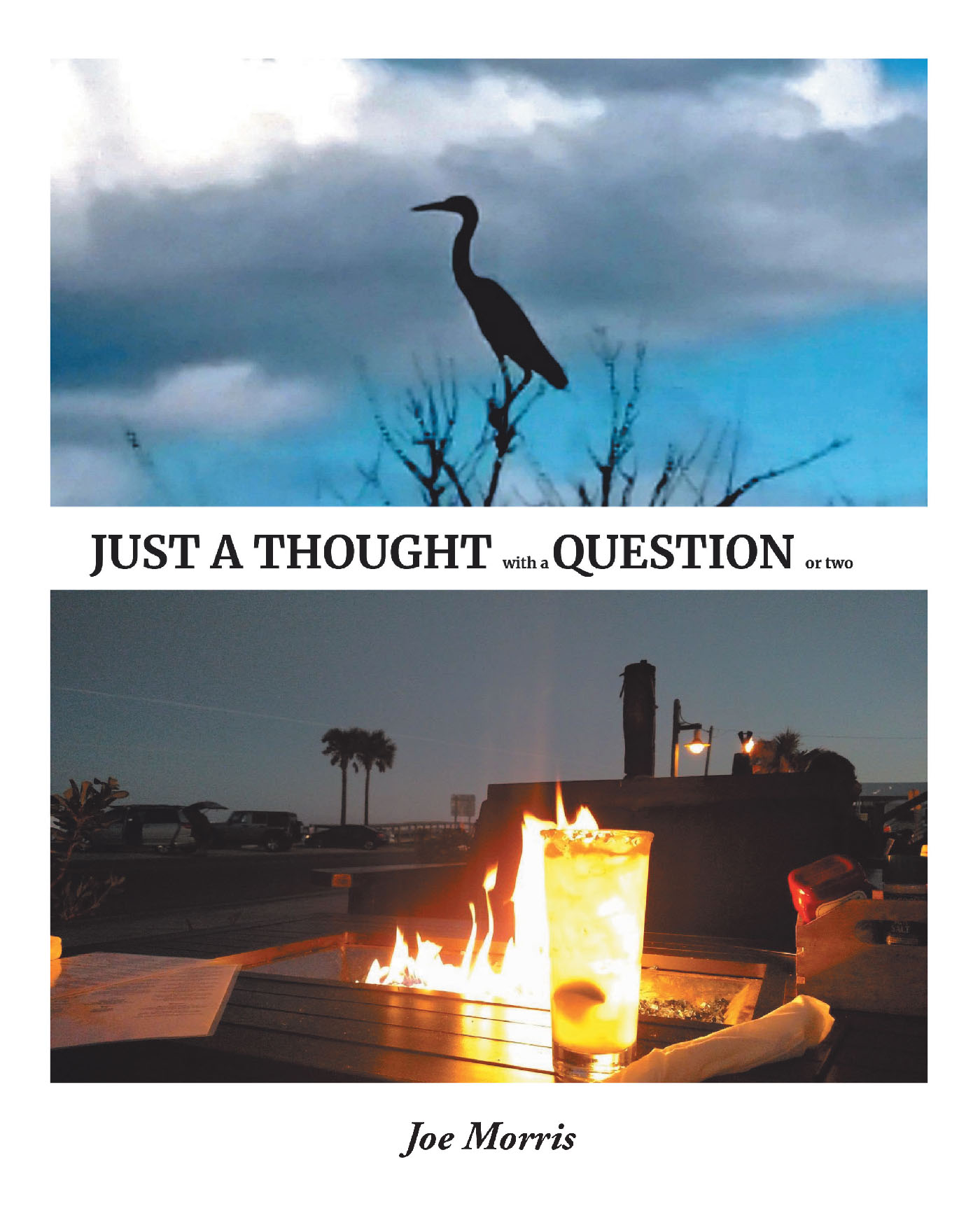 Just a Thought with a Question or Two Cover Image