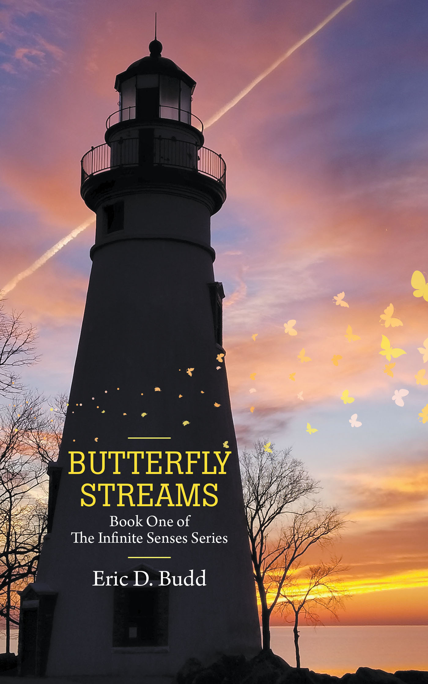BUTTERFLY STREAMS Cover Image